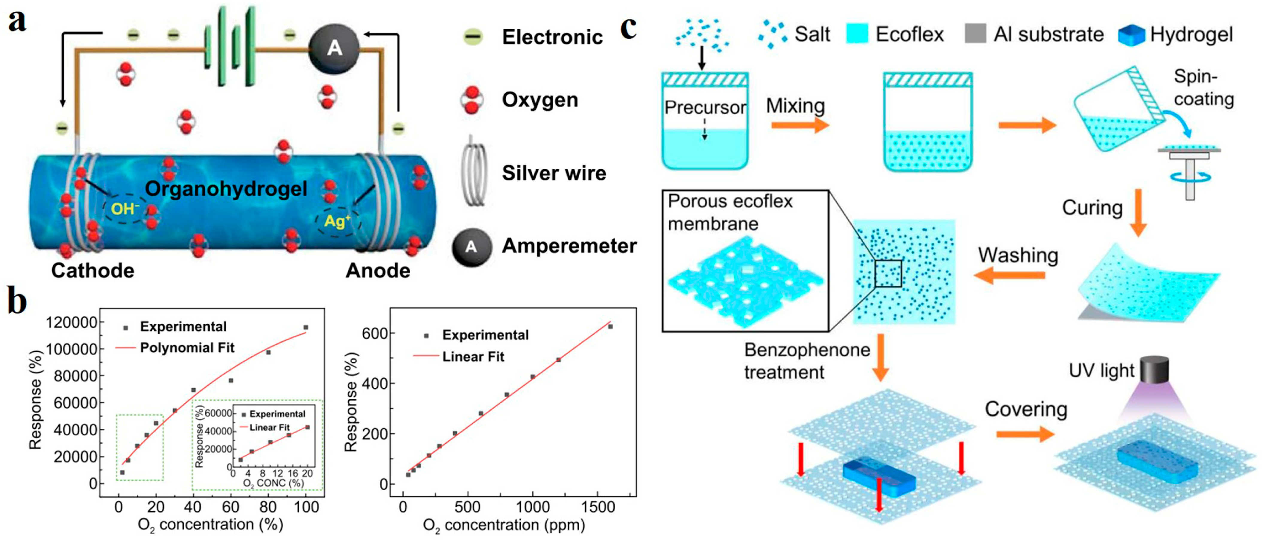 Polymers 14 04037 g012