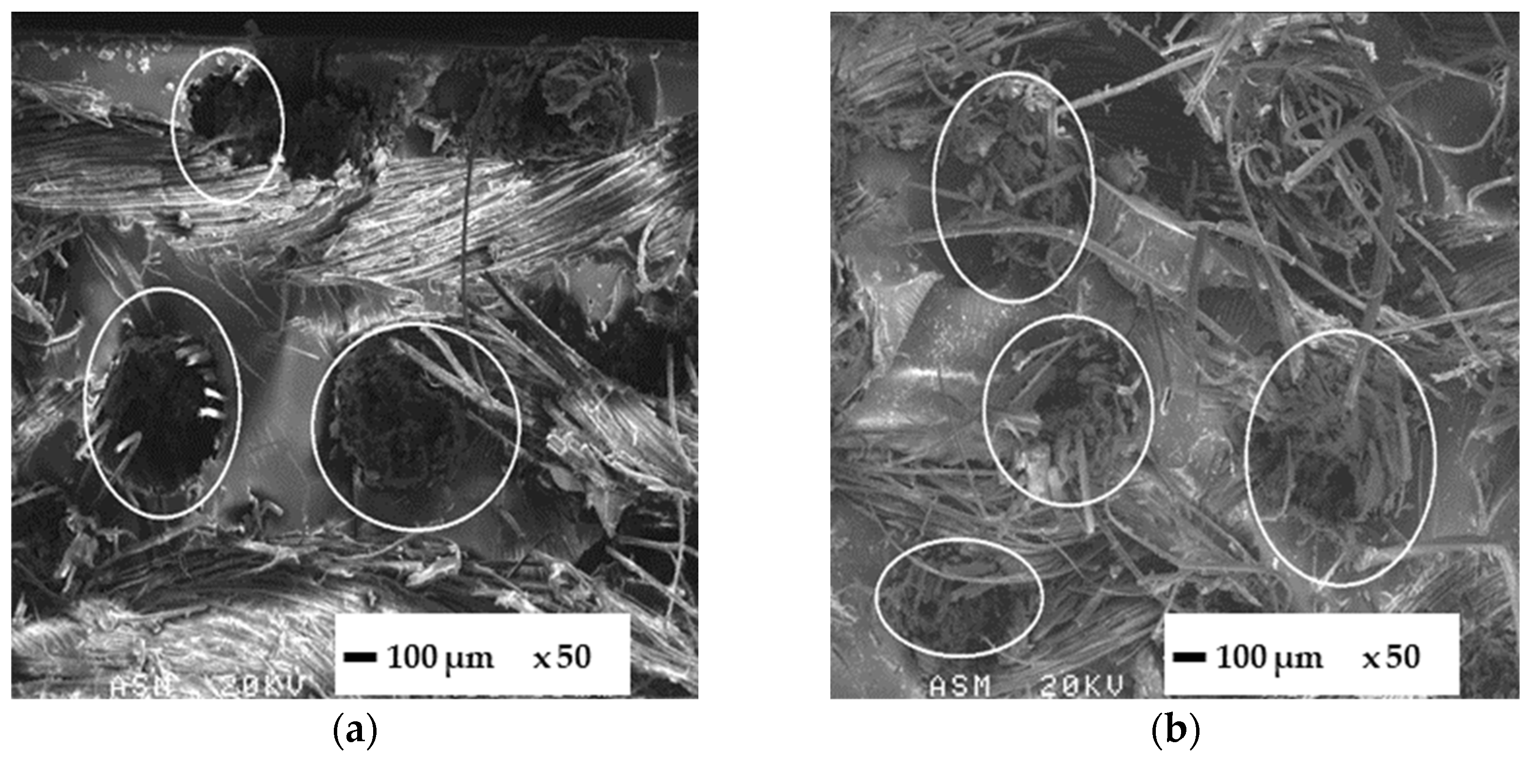 Polymers 14 04038 g004 Polymers 14 04038 g004