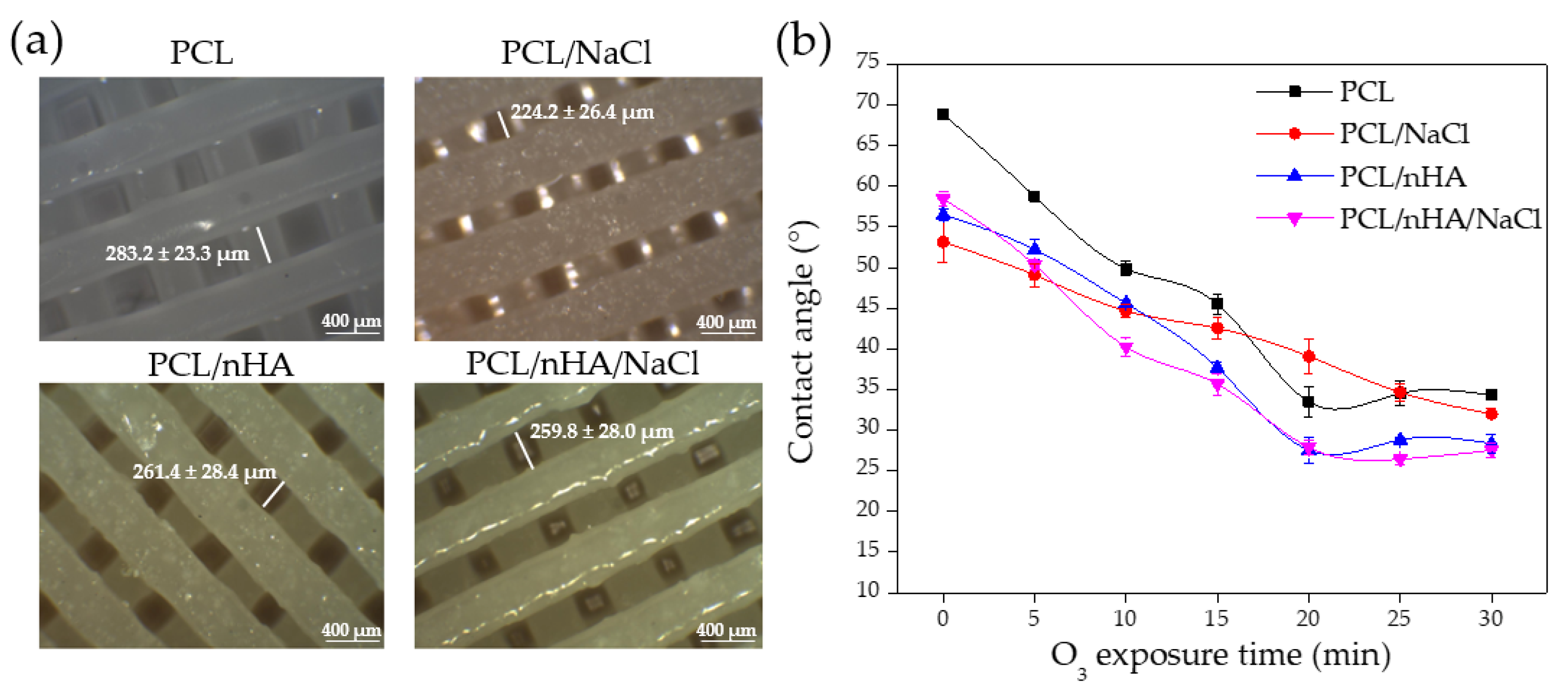 Polymers 14 04041 g006 Polymers 14 04041 g006