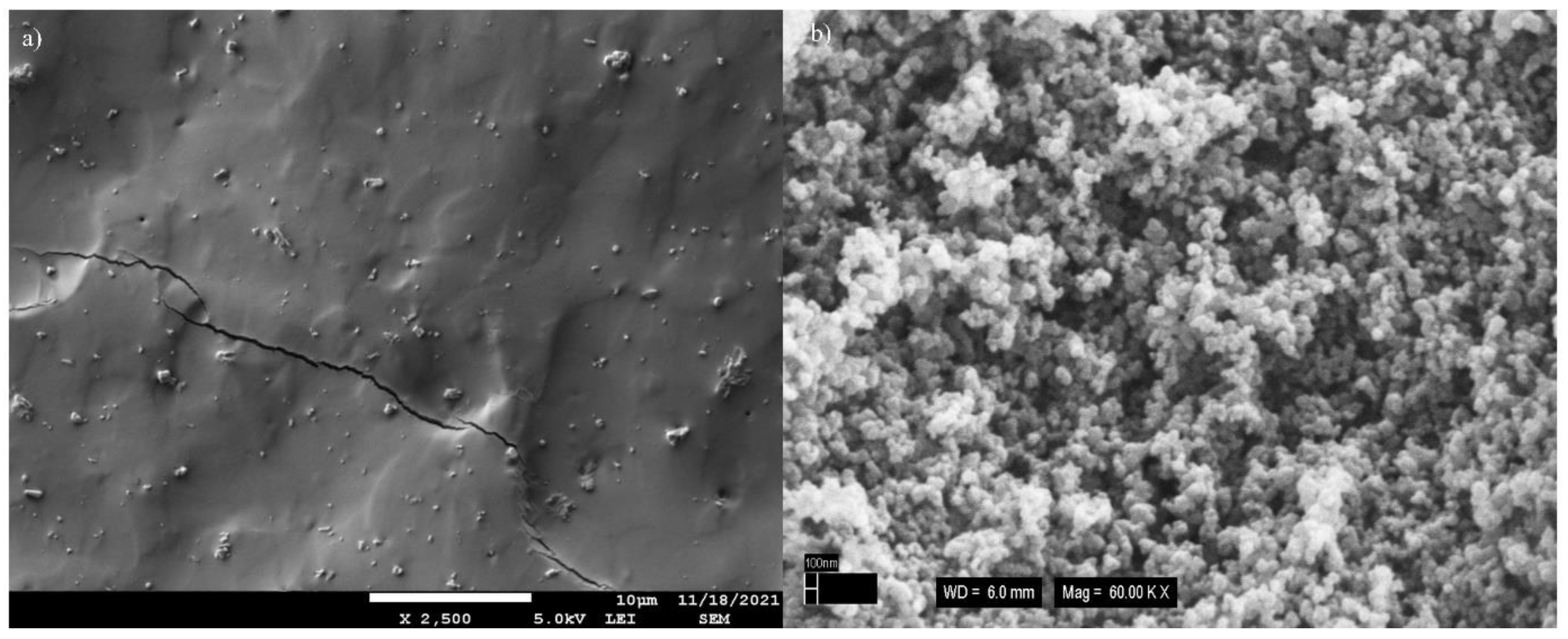 Polymers 14 04043 g002