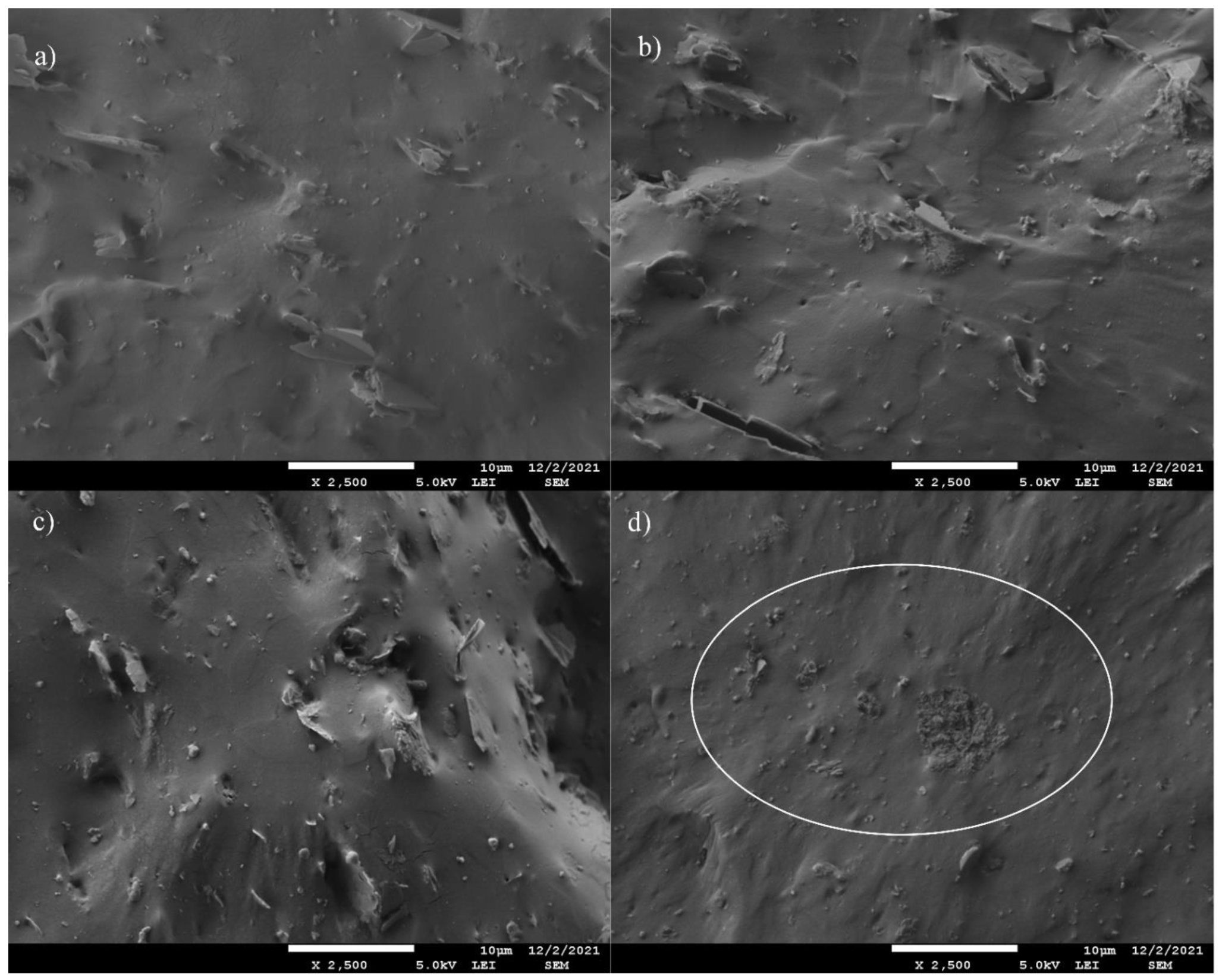 Polymers 14 04043 g004