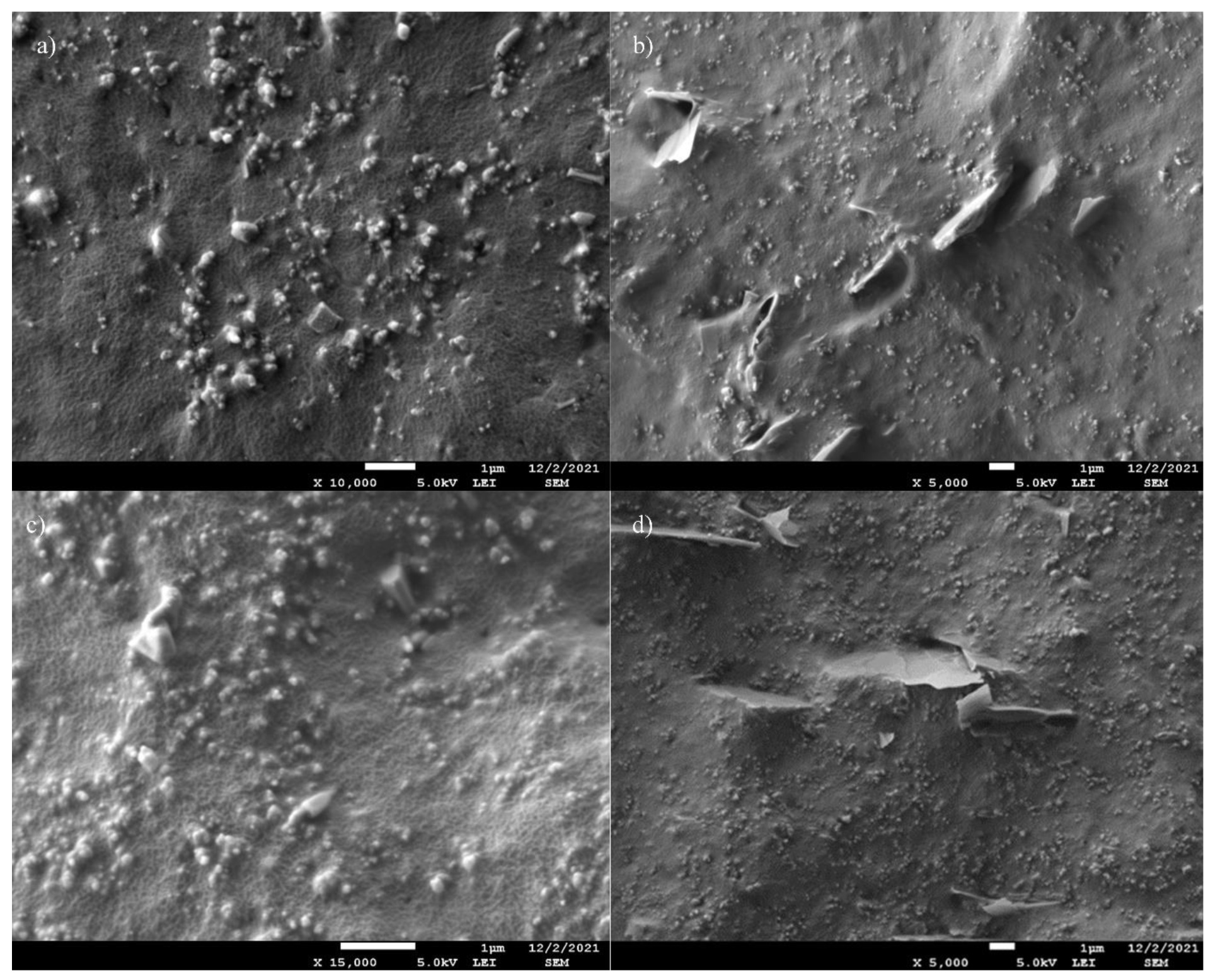 Polymers 14 04043 g005