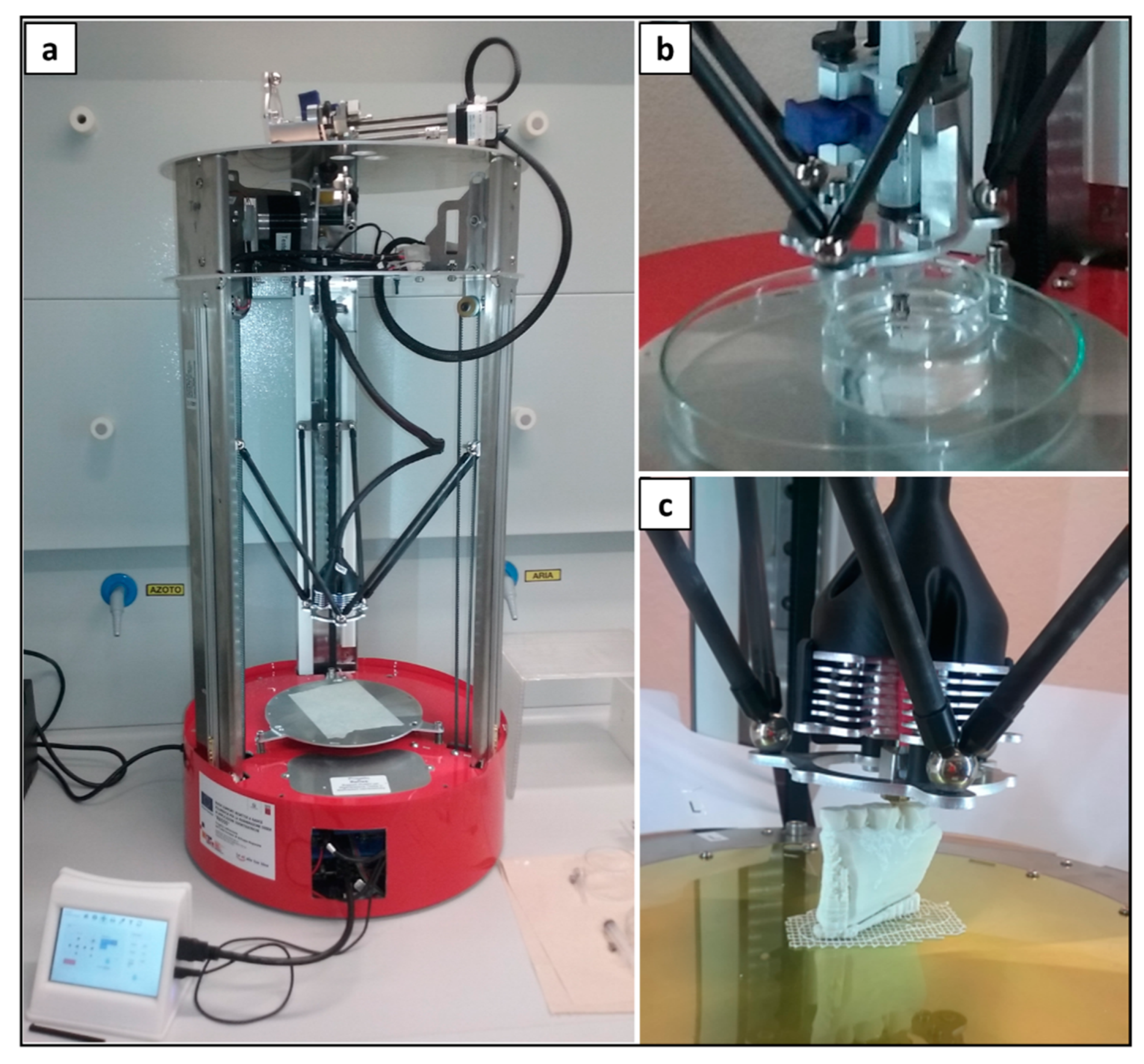 Polymers 14 04057 g002