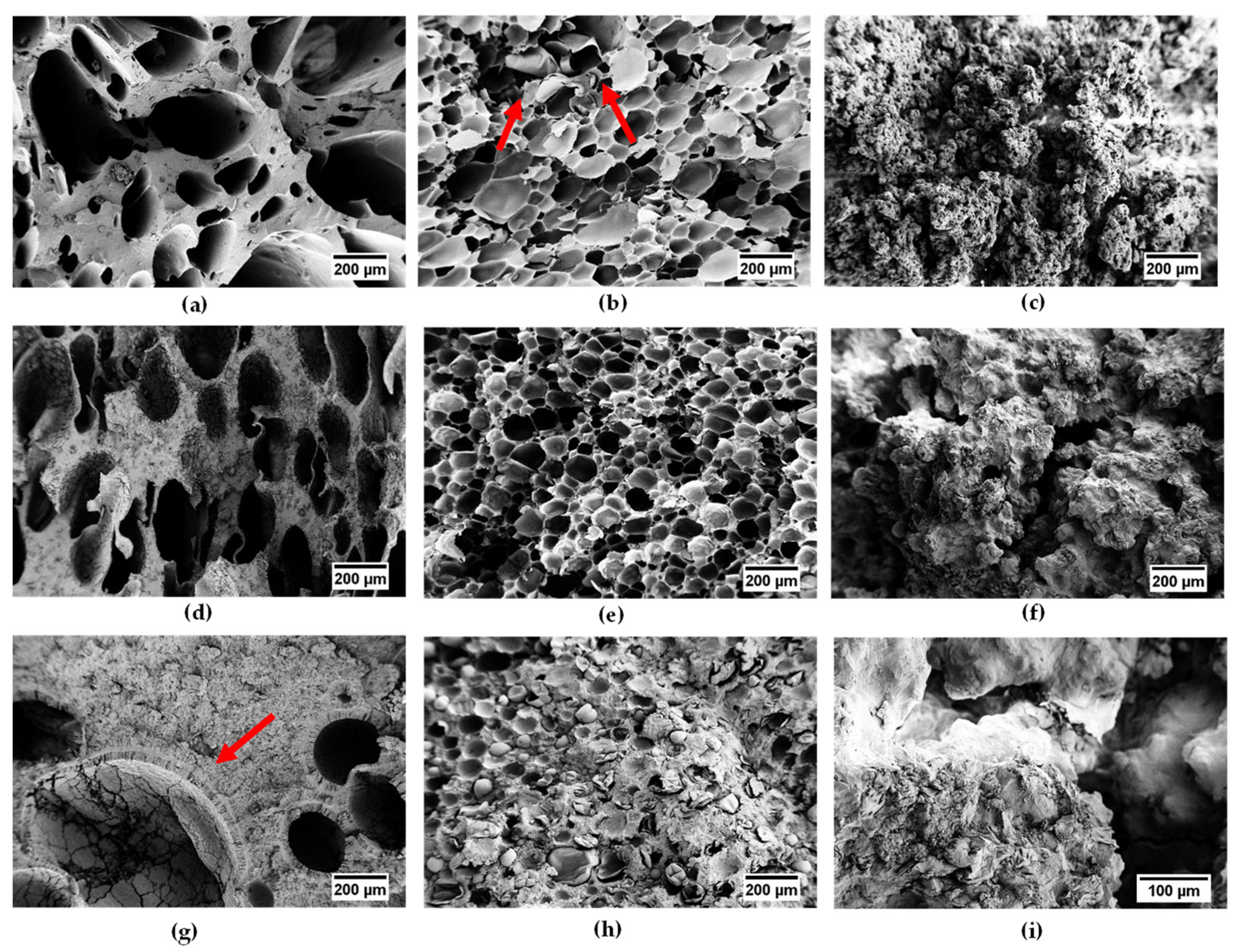 Polymers 14 04058 g001