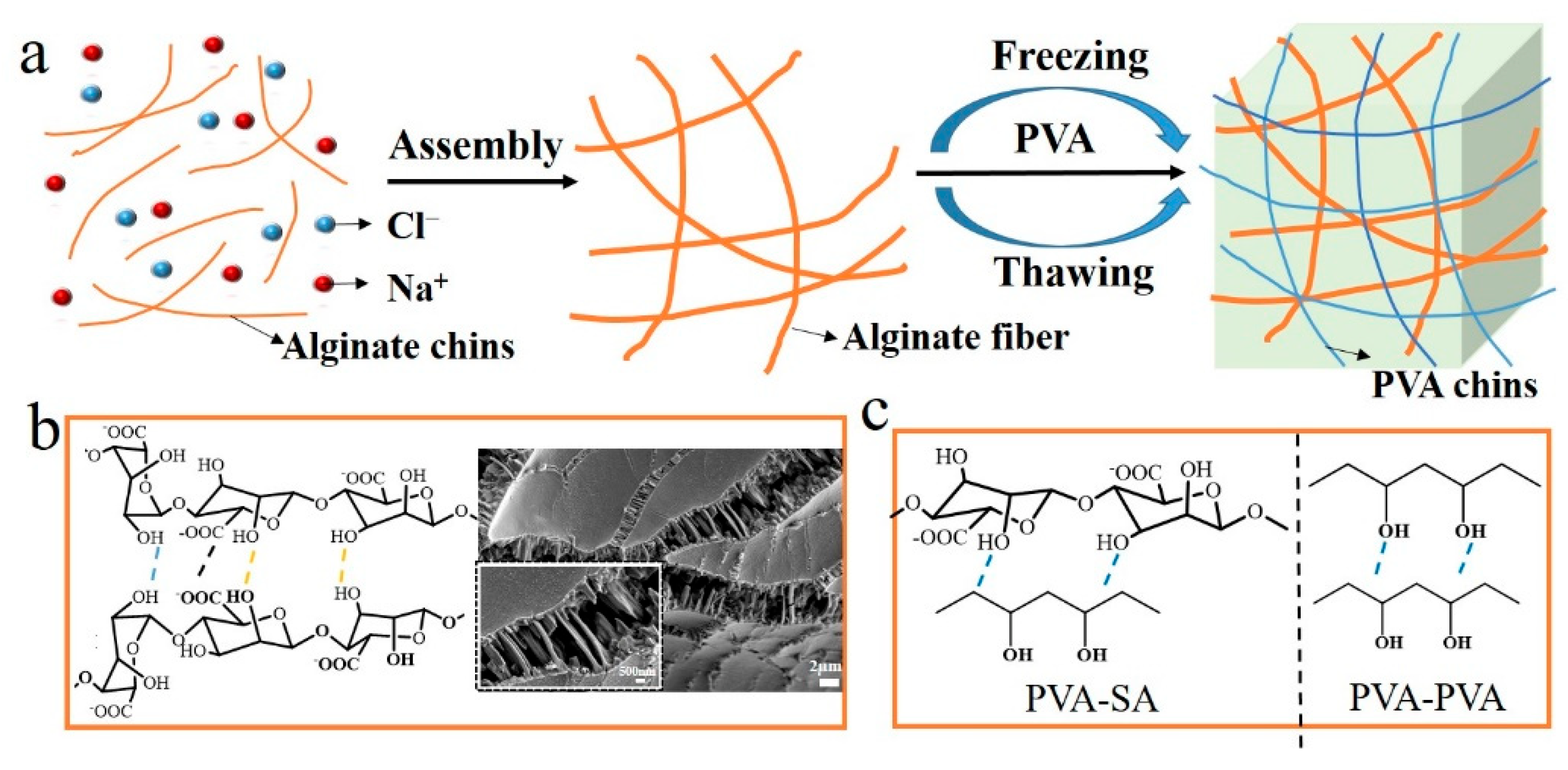 Polymers 14 04063 g001