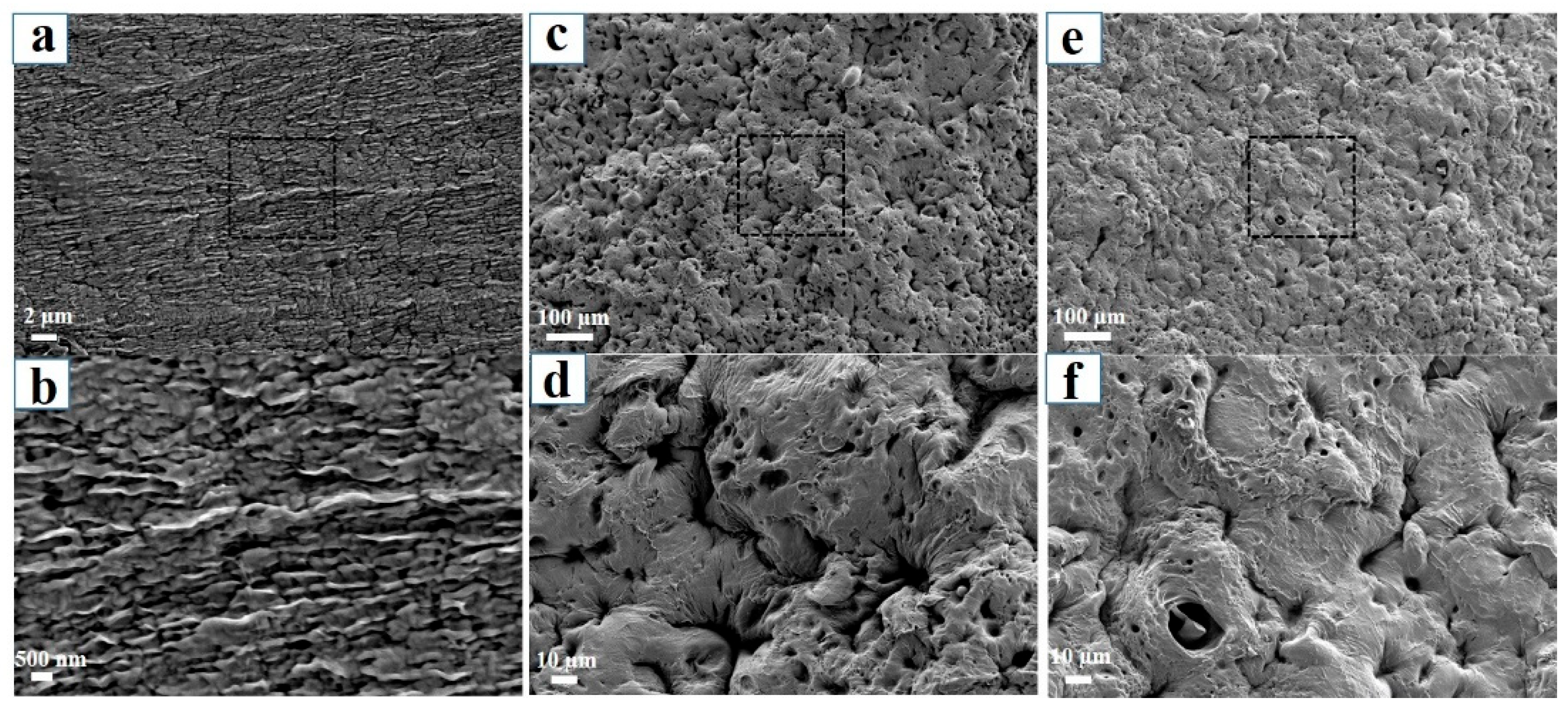 Polymers 14 04063 g004