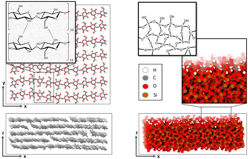 Polymers 14 04069 g002