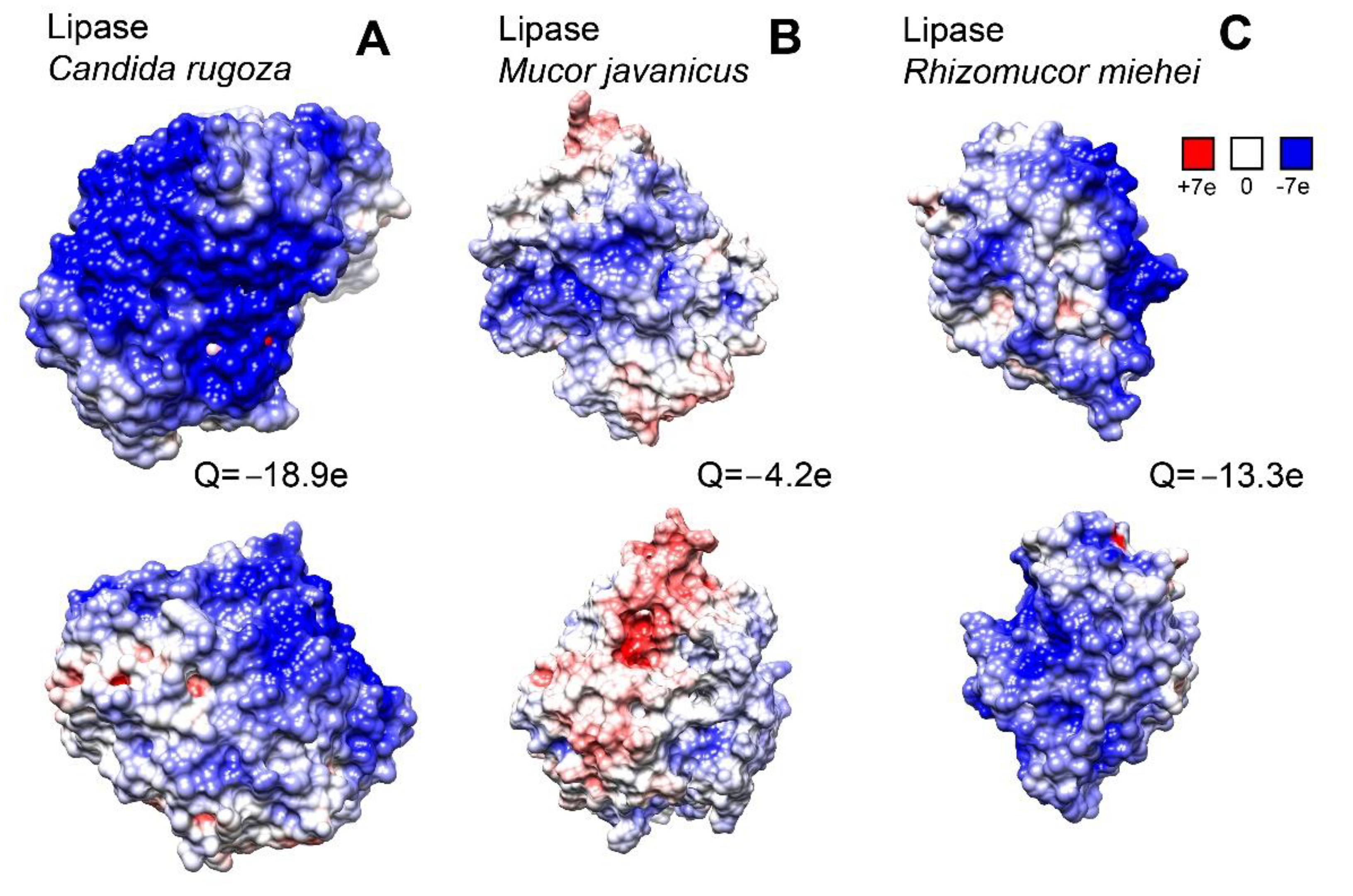 Polymers 14 04071 g002