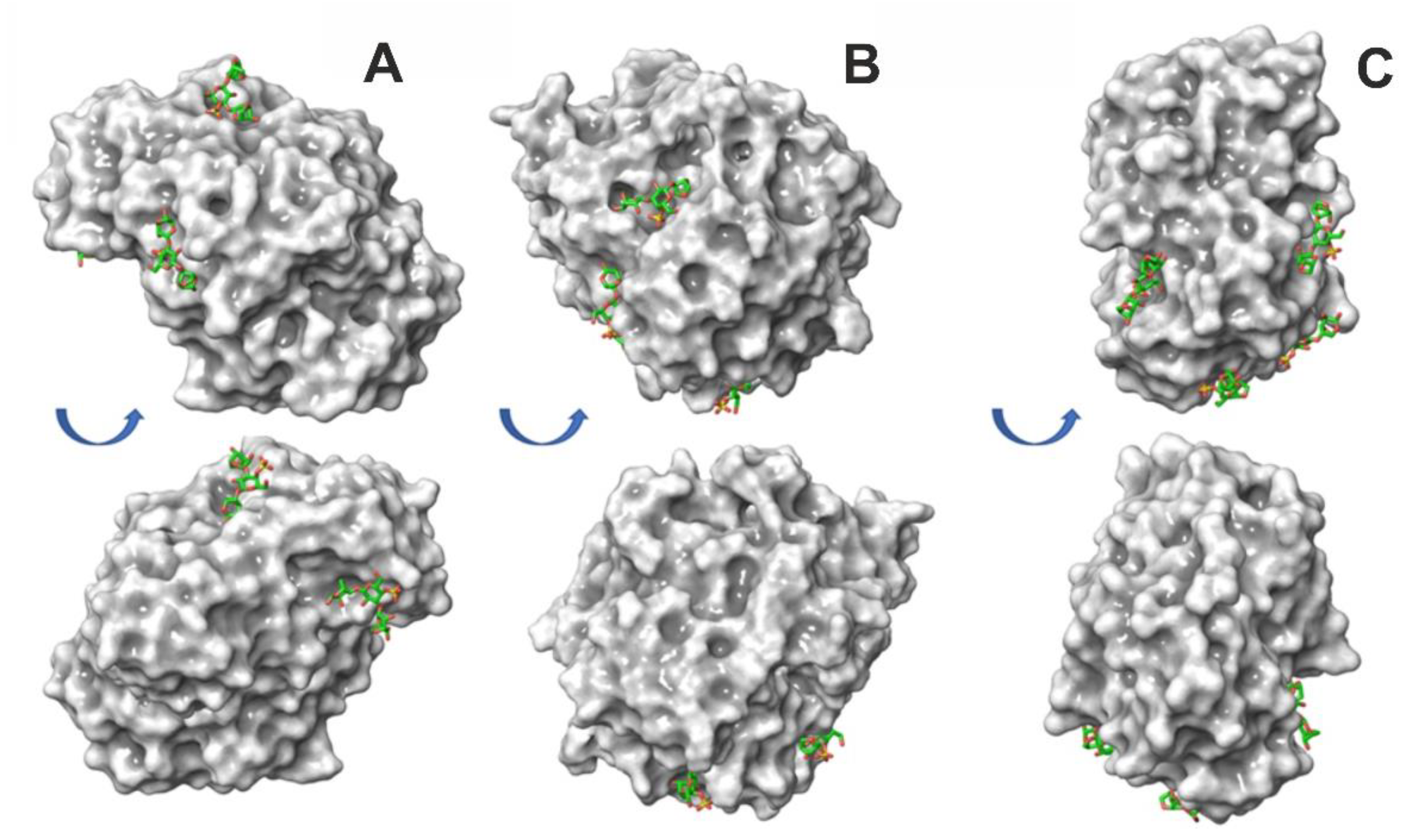 Polymers 14 04071 g003