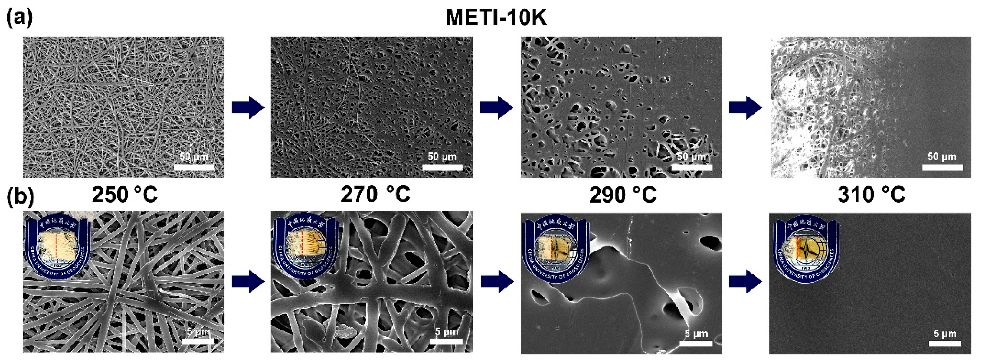 Polymers 14 04078 g010