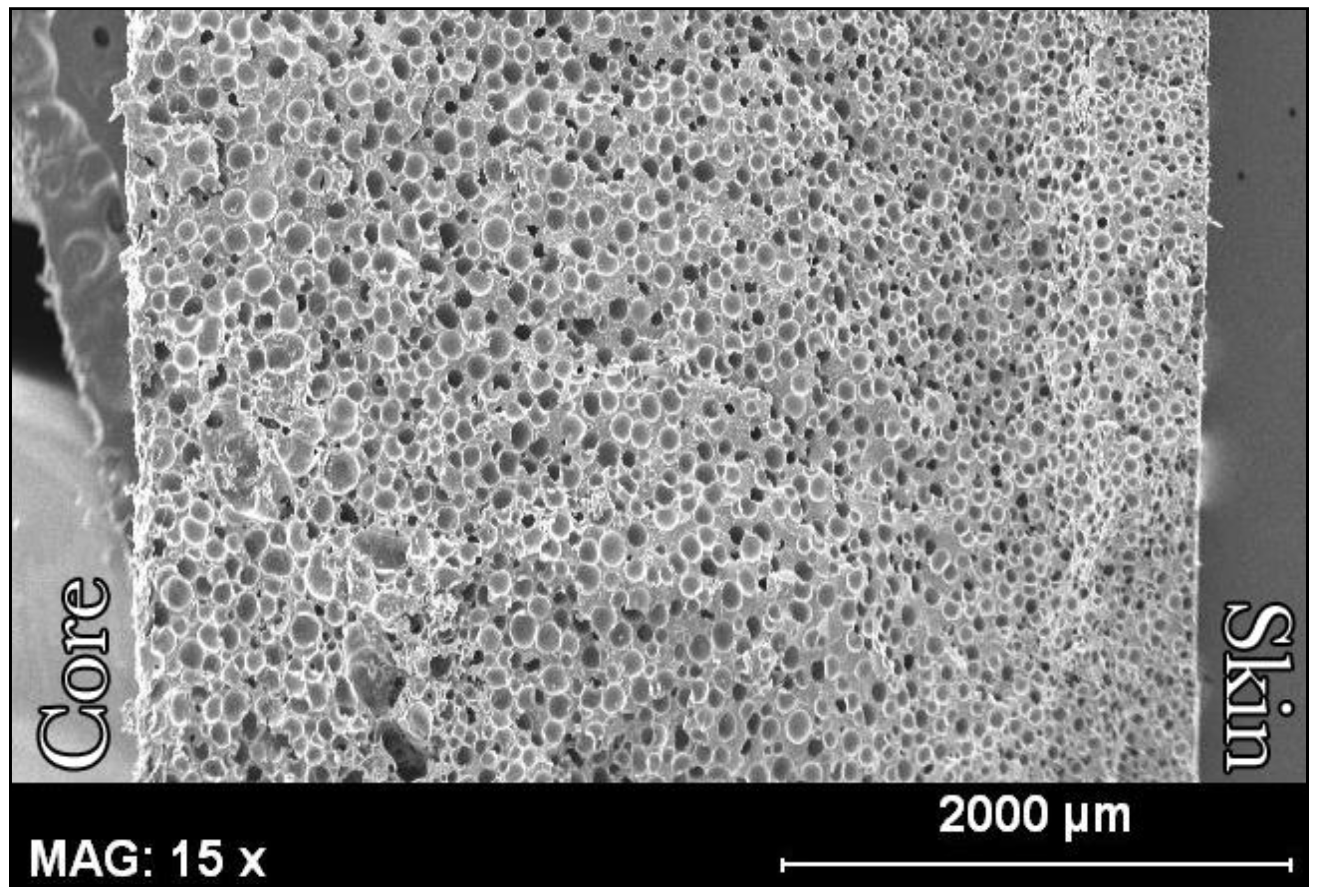 Polymers 14 04082 g007 Polymers 14 04082 g007
