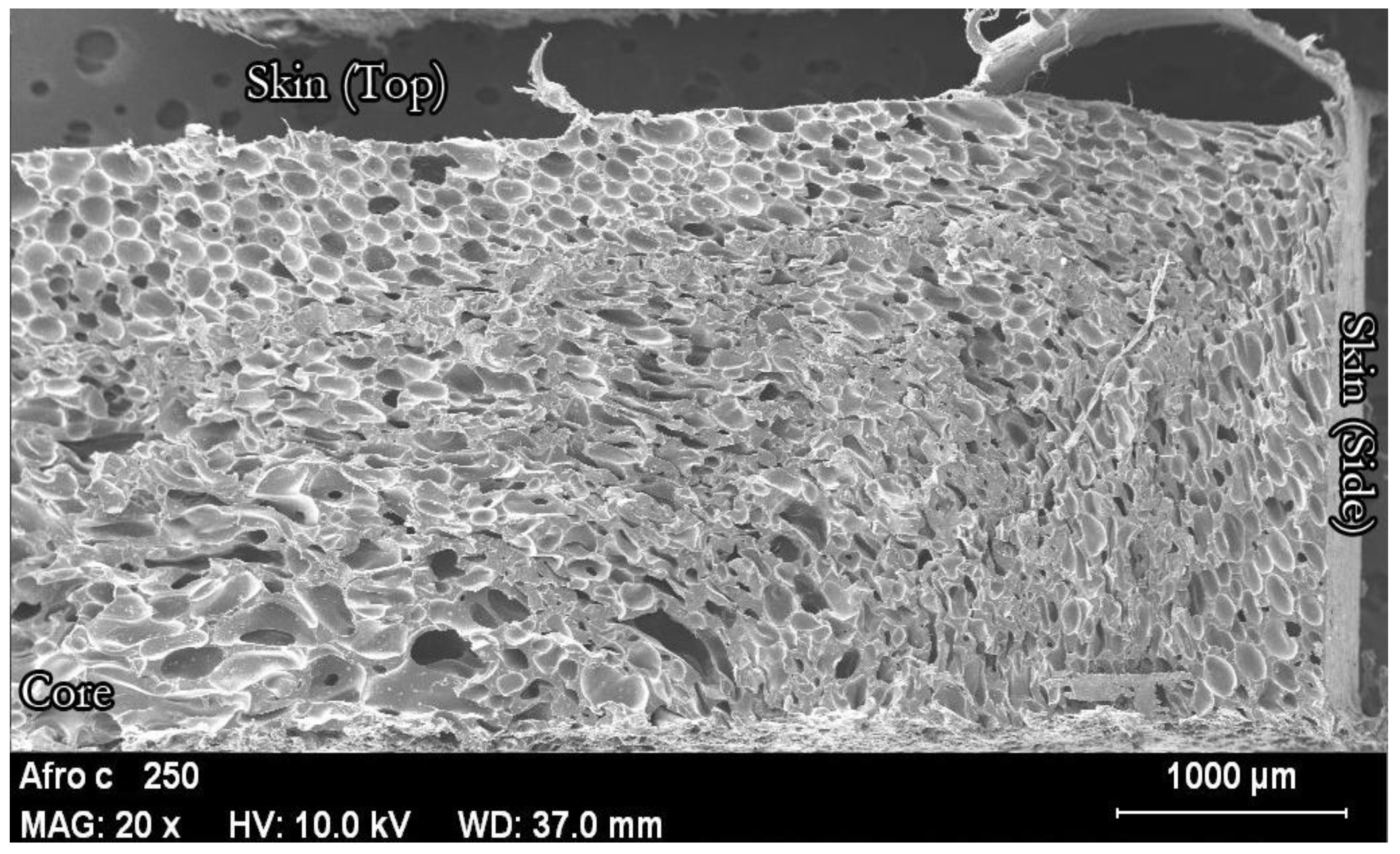 Polymers 14 04082 g013 Polymers 14 04082 g013