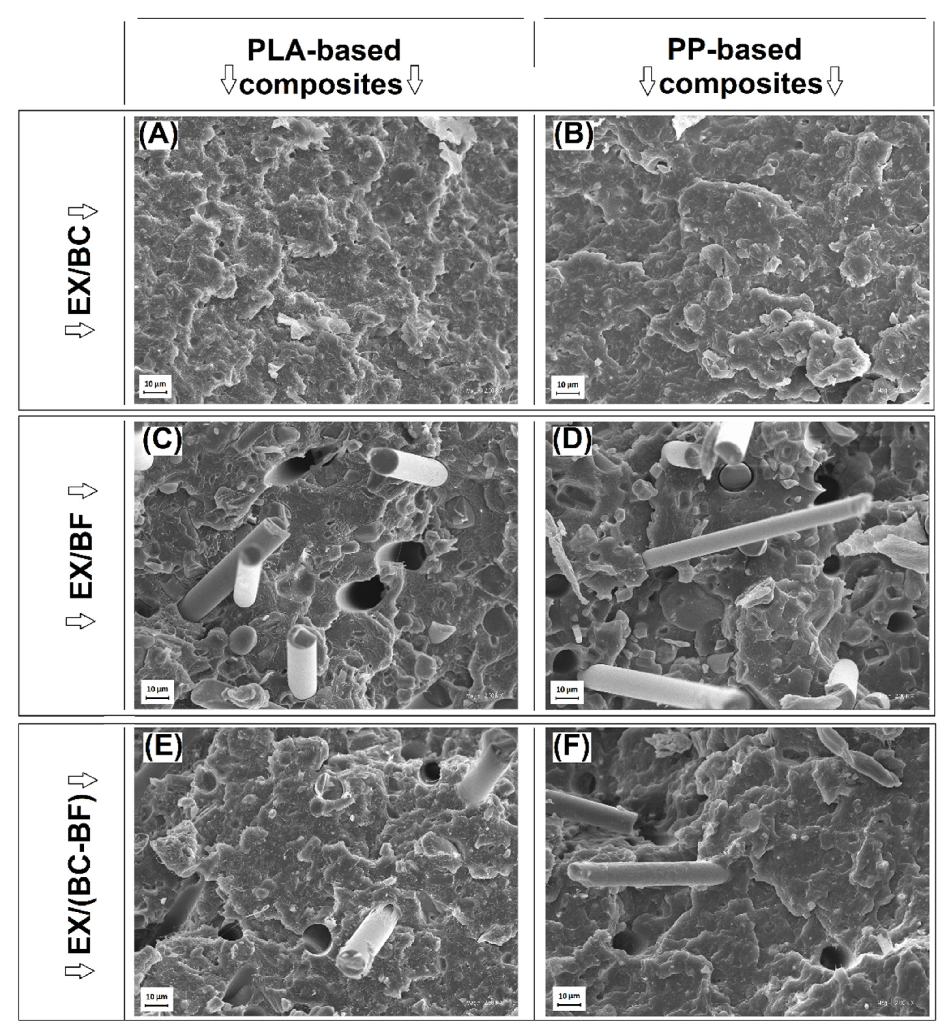 Polymers 14 04086 g002