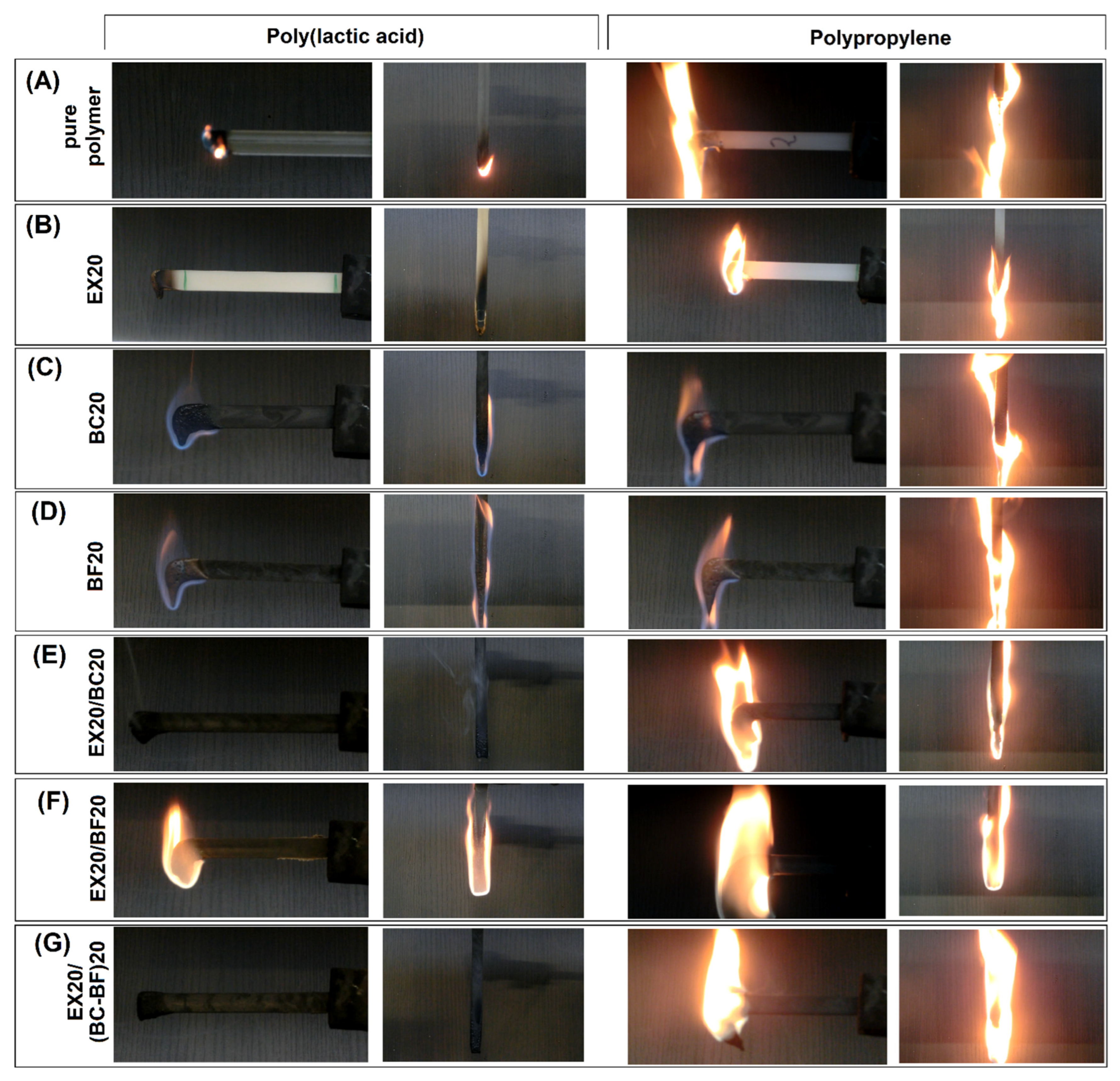 Polymers 14 04086 g011
