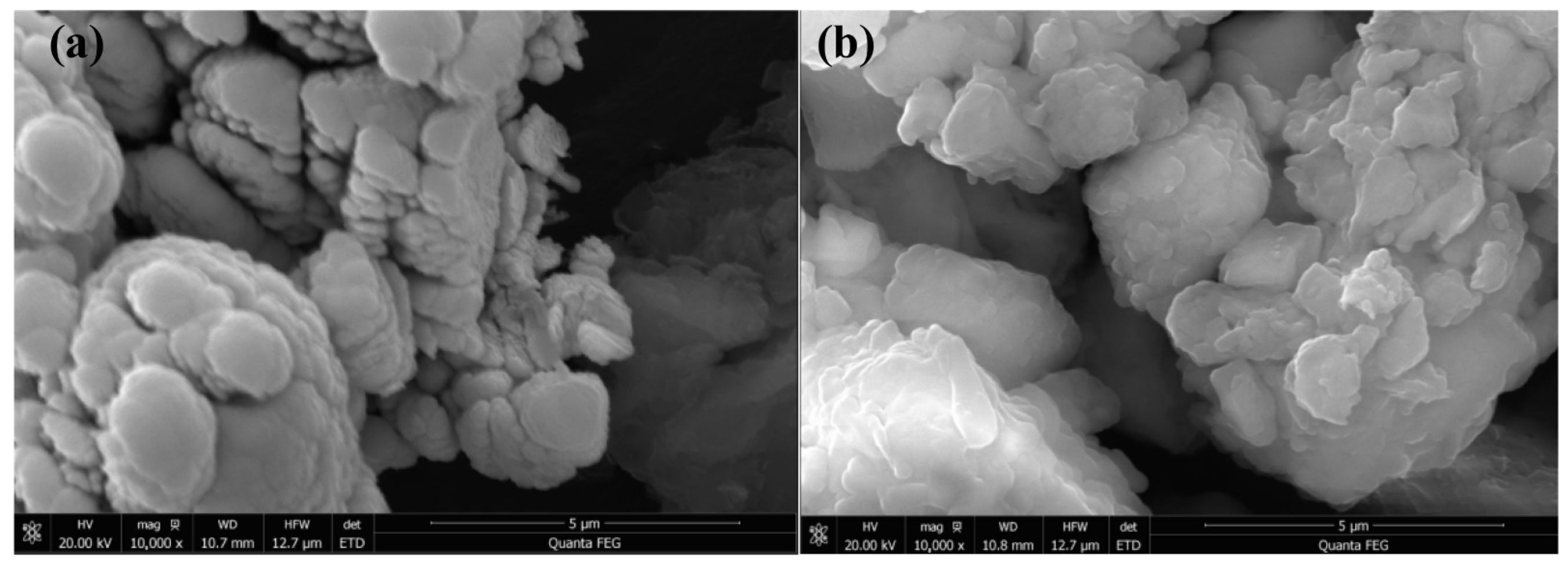 Polymers 14 04087 g001