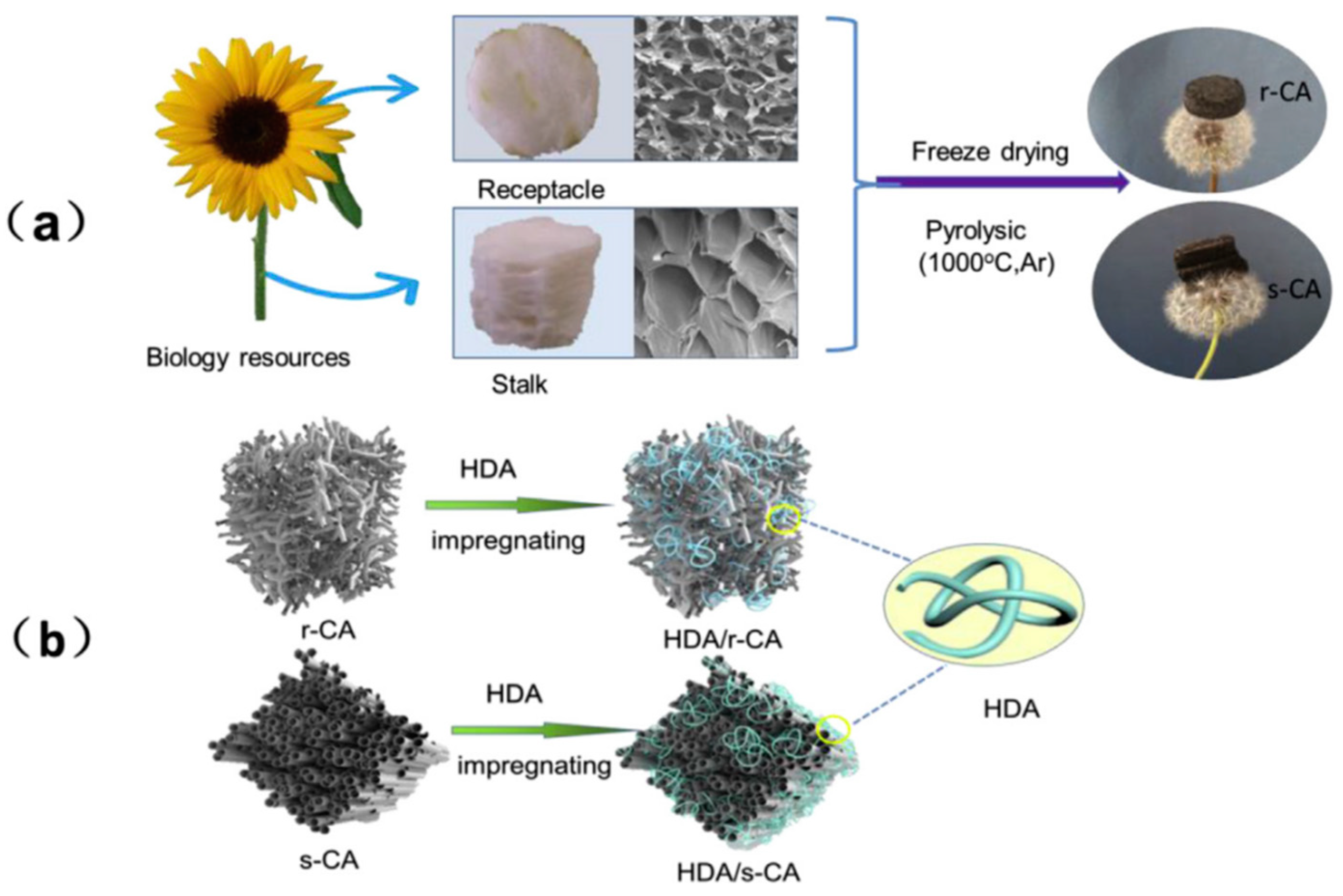 Polymers 14 04089 g007