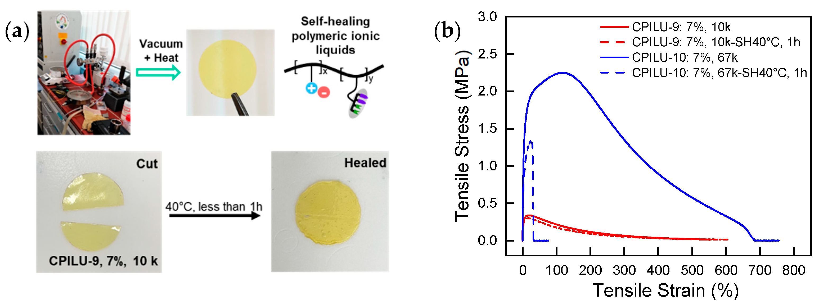 Polymers 14 04090 g004