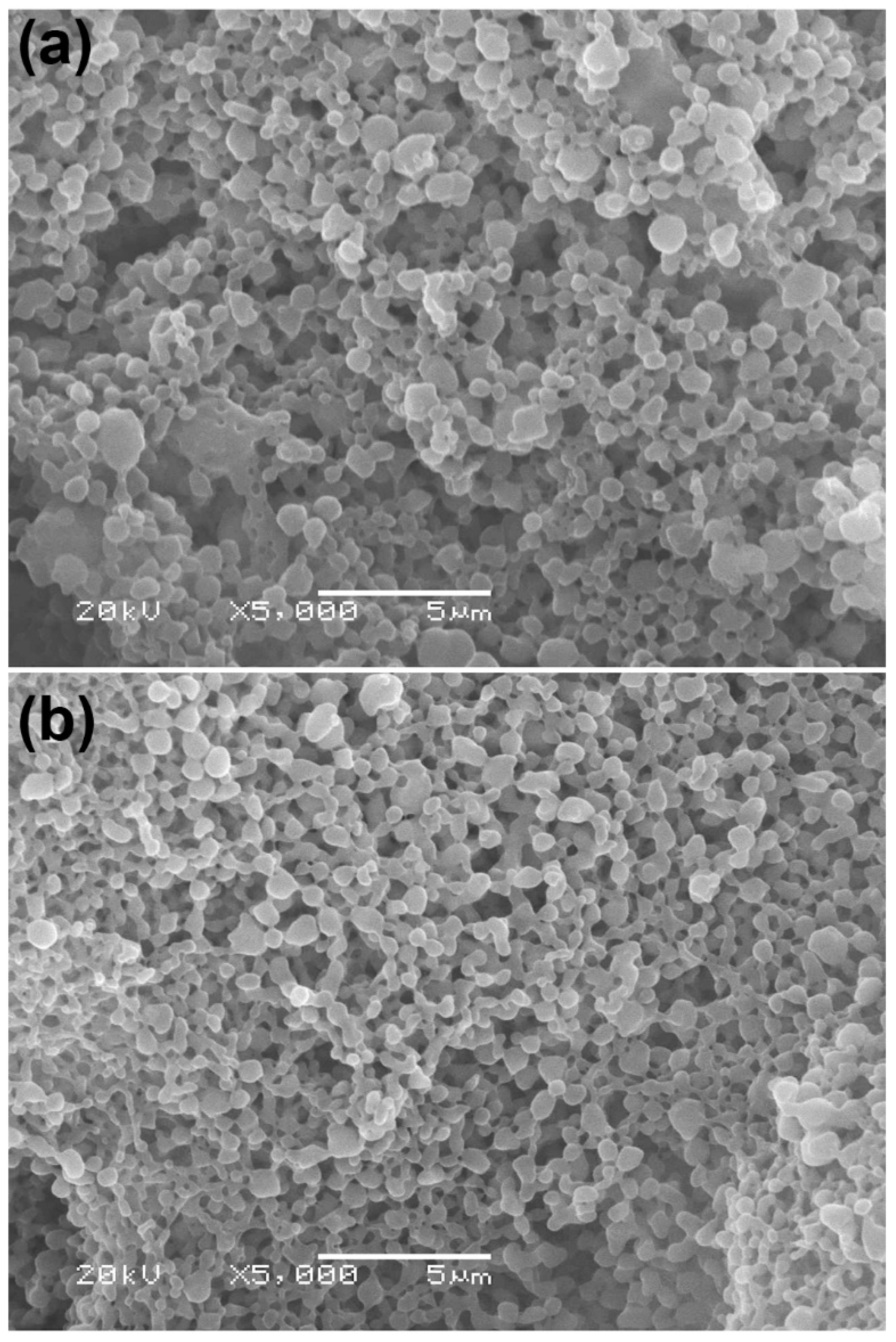 Polymers 14 04092 g001