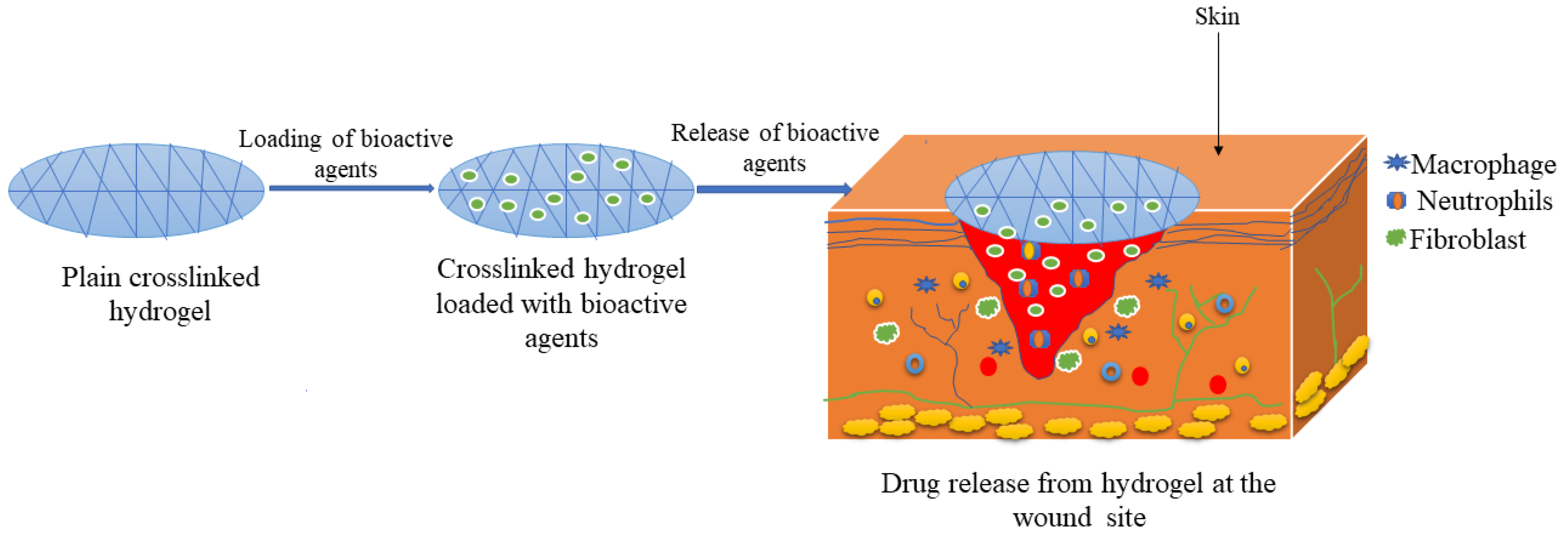 Polymers 14 04098 g002
