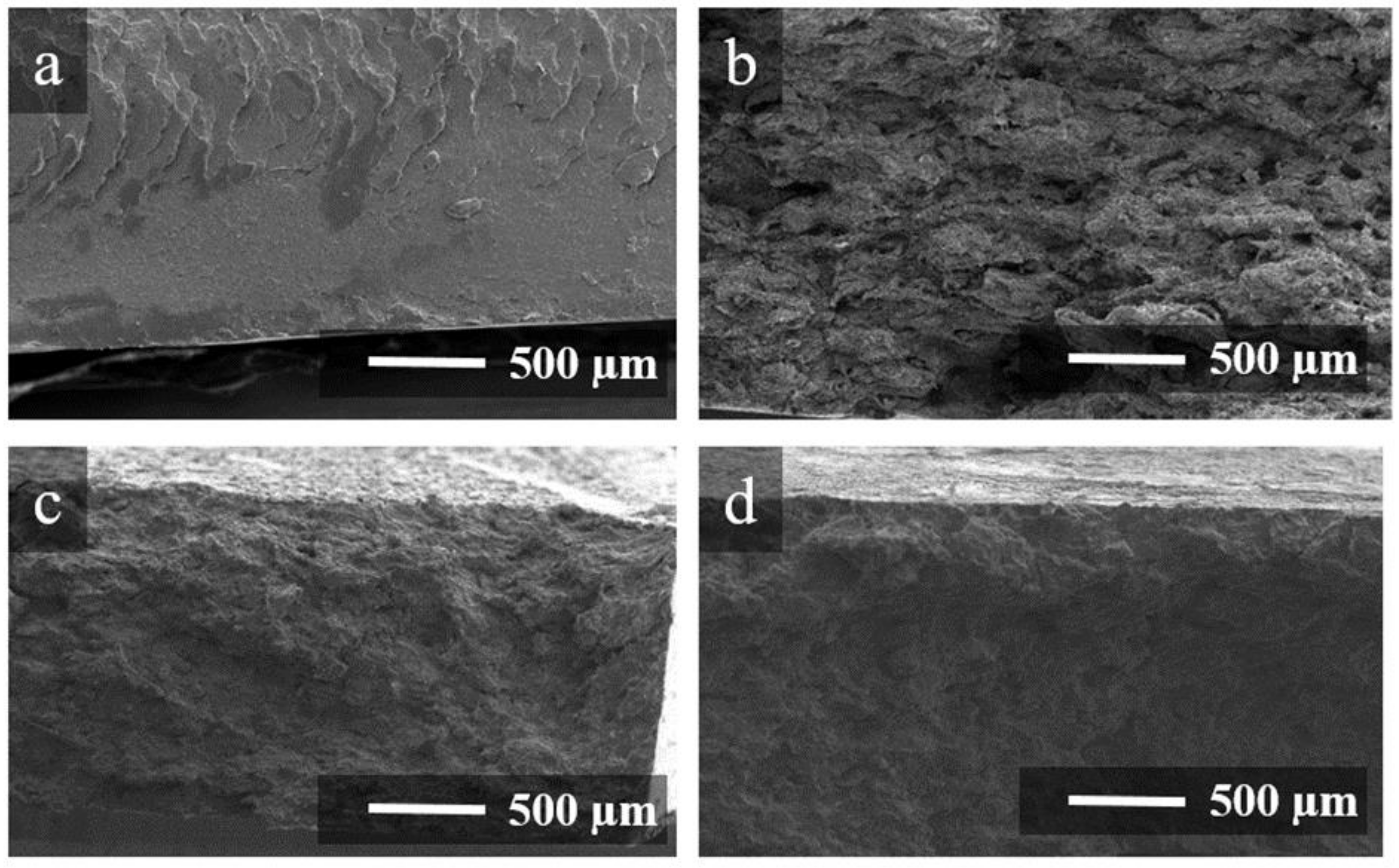 Polymers 14 04105 g002