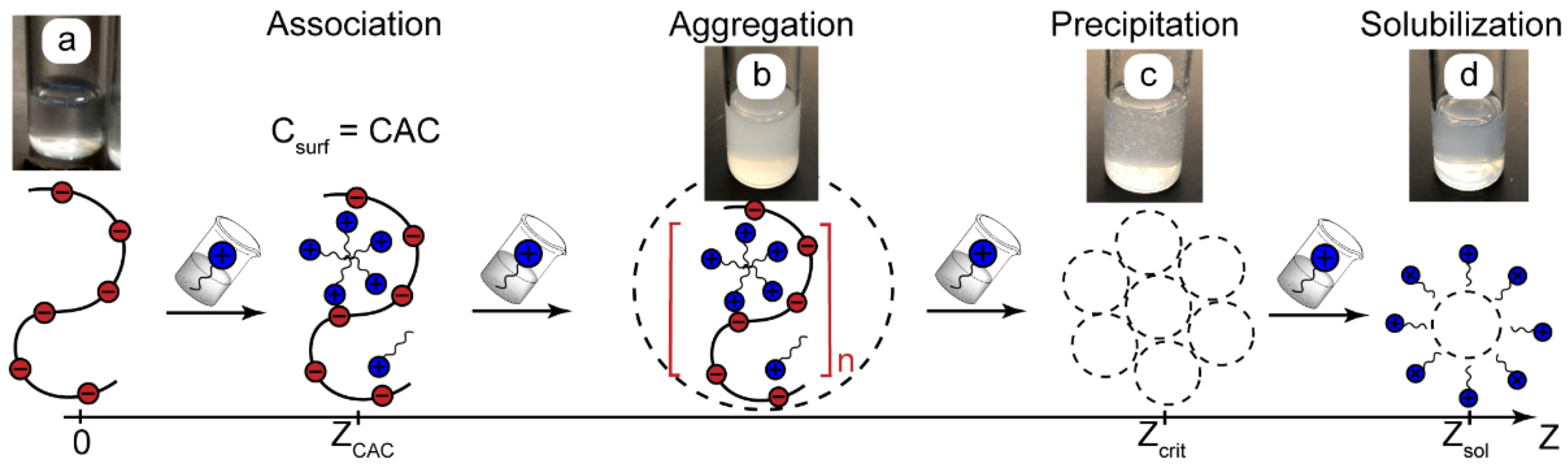 Polymers 14 04109 g001