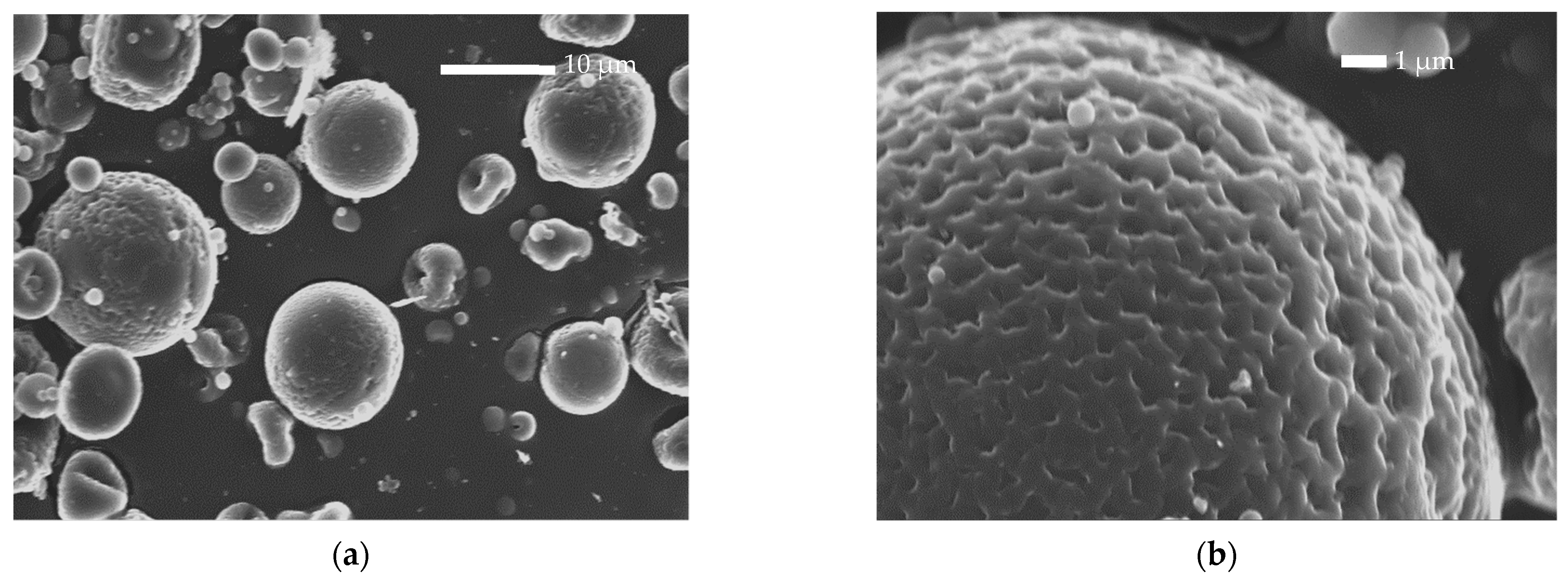 Polymers 14 04111 g004a