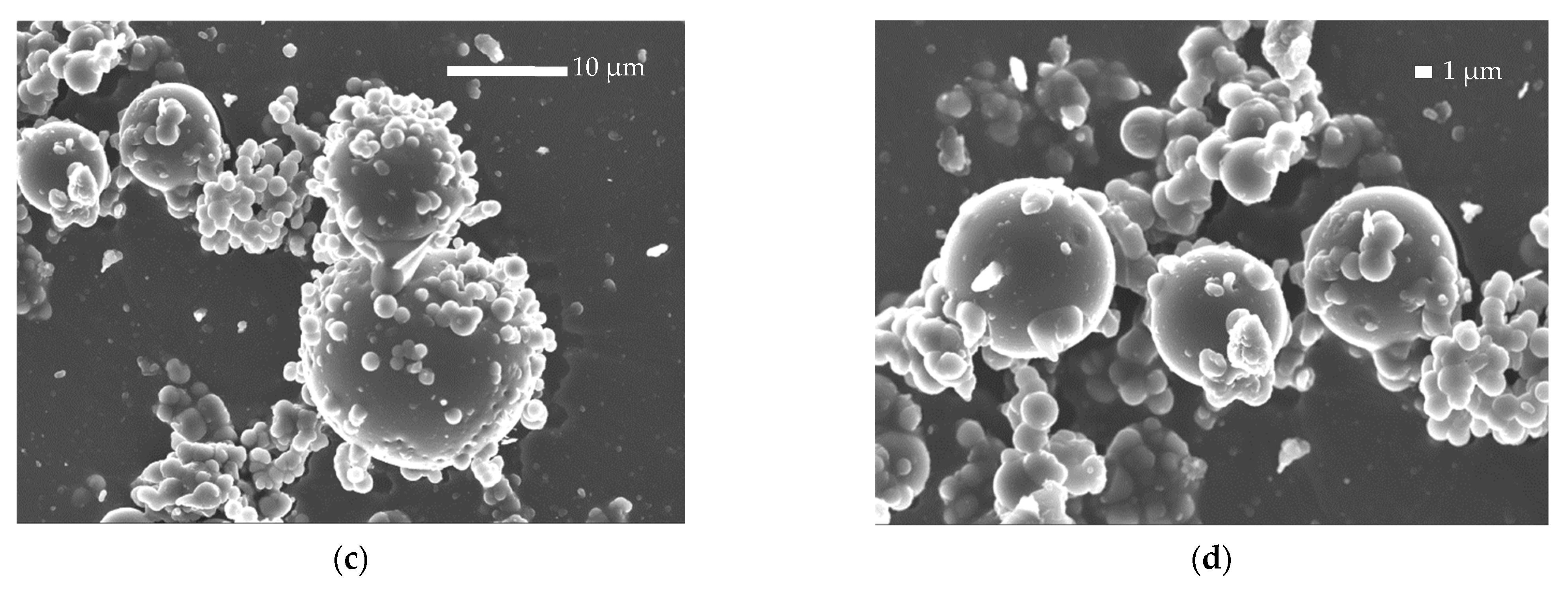 Polymers 14 04111 g004b