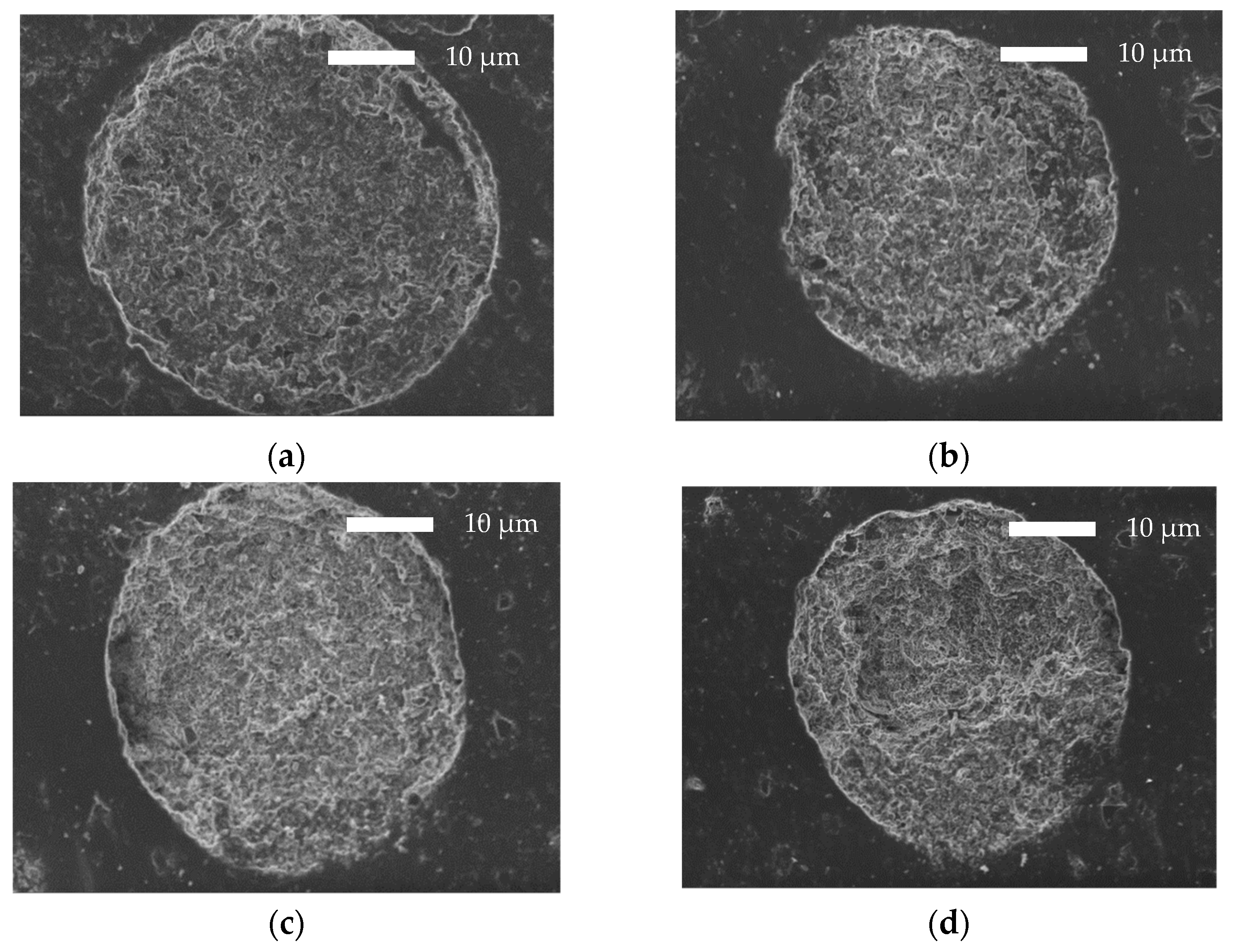 Polymers 14 04111 g006