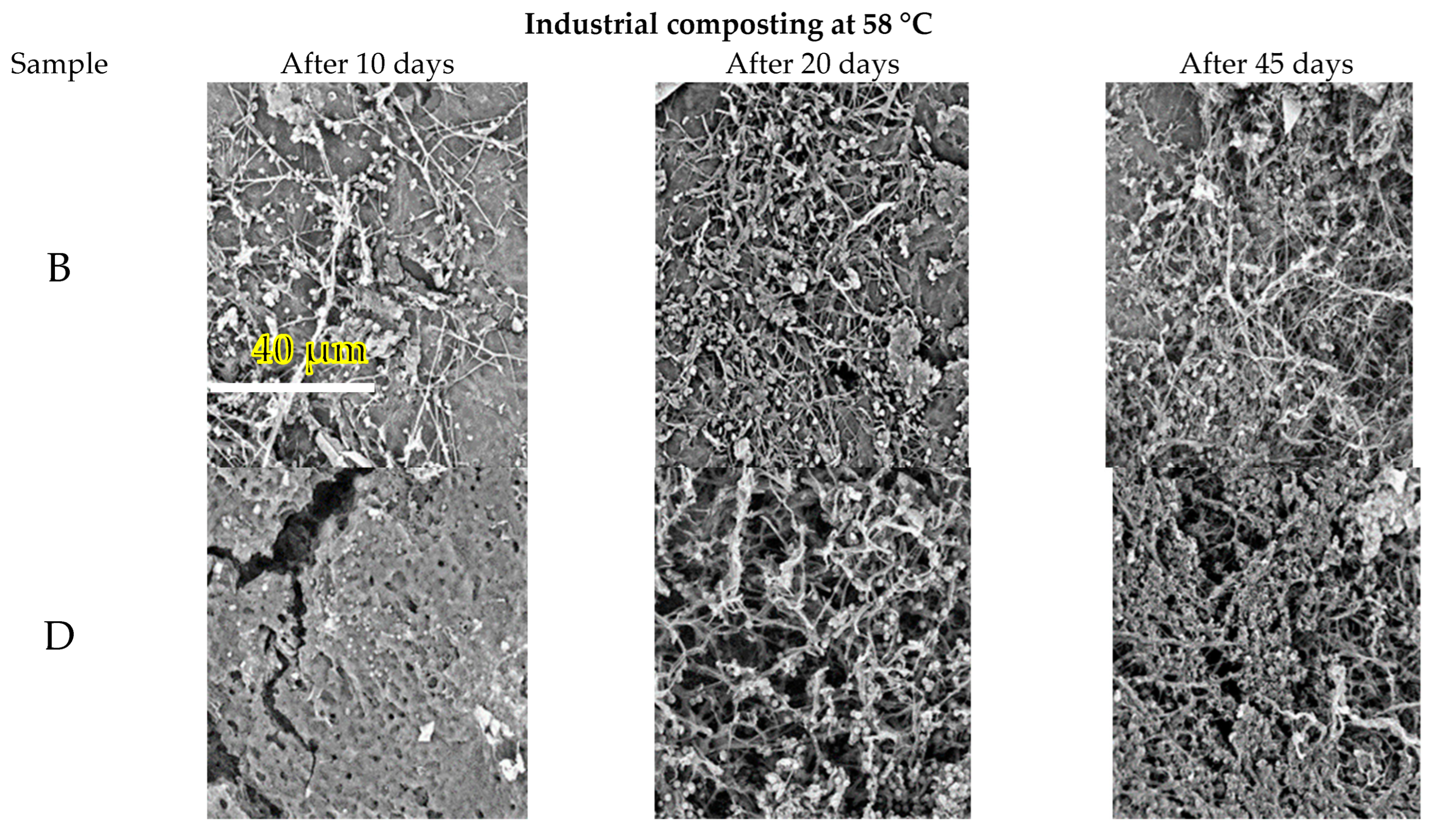 Polymers 14 04113 g003a