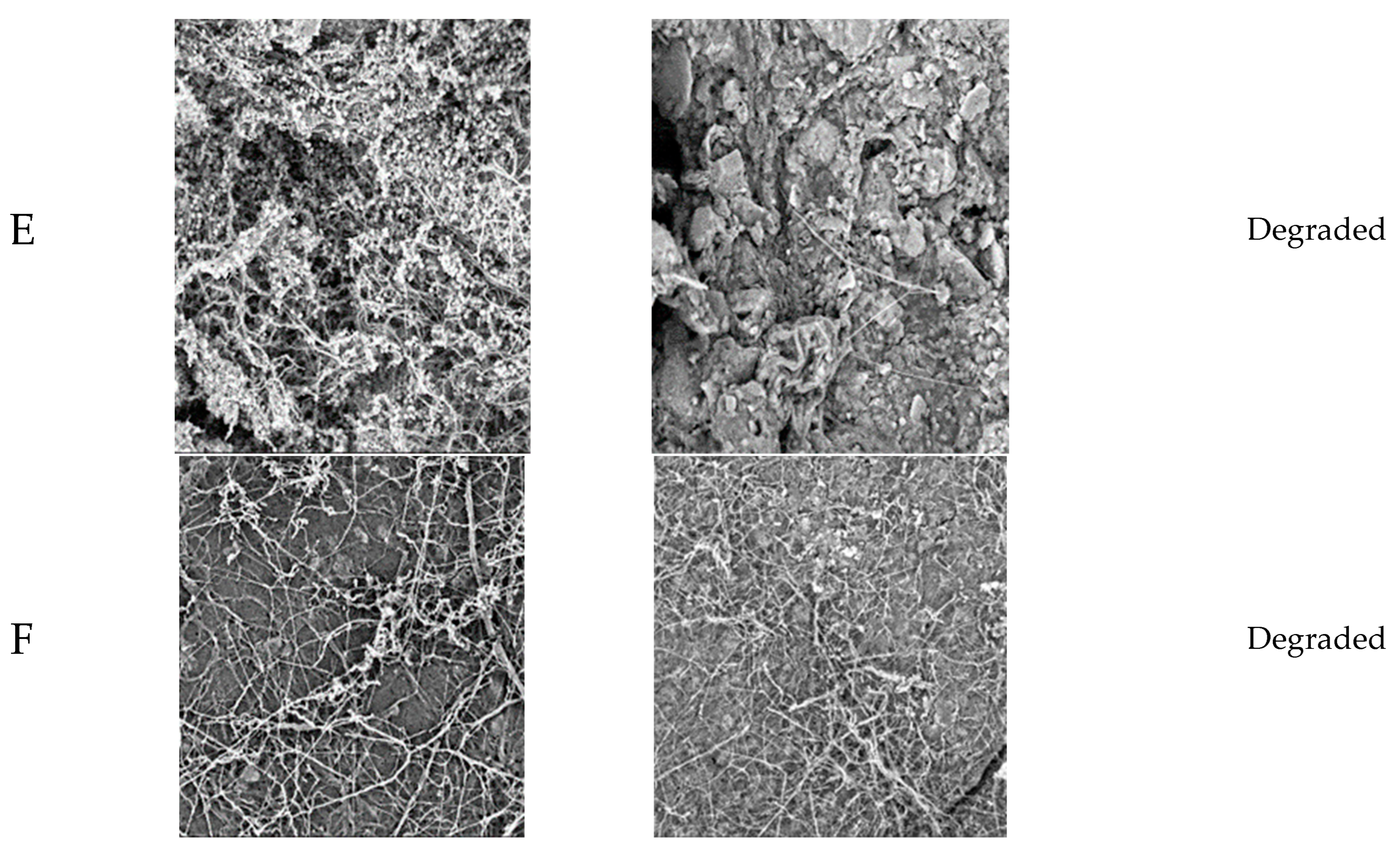 Polymers 14 04113 g003b