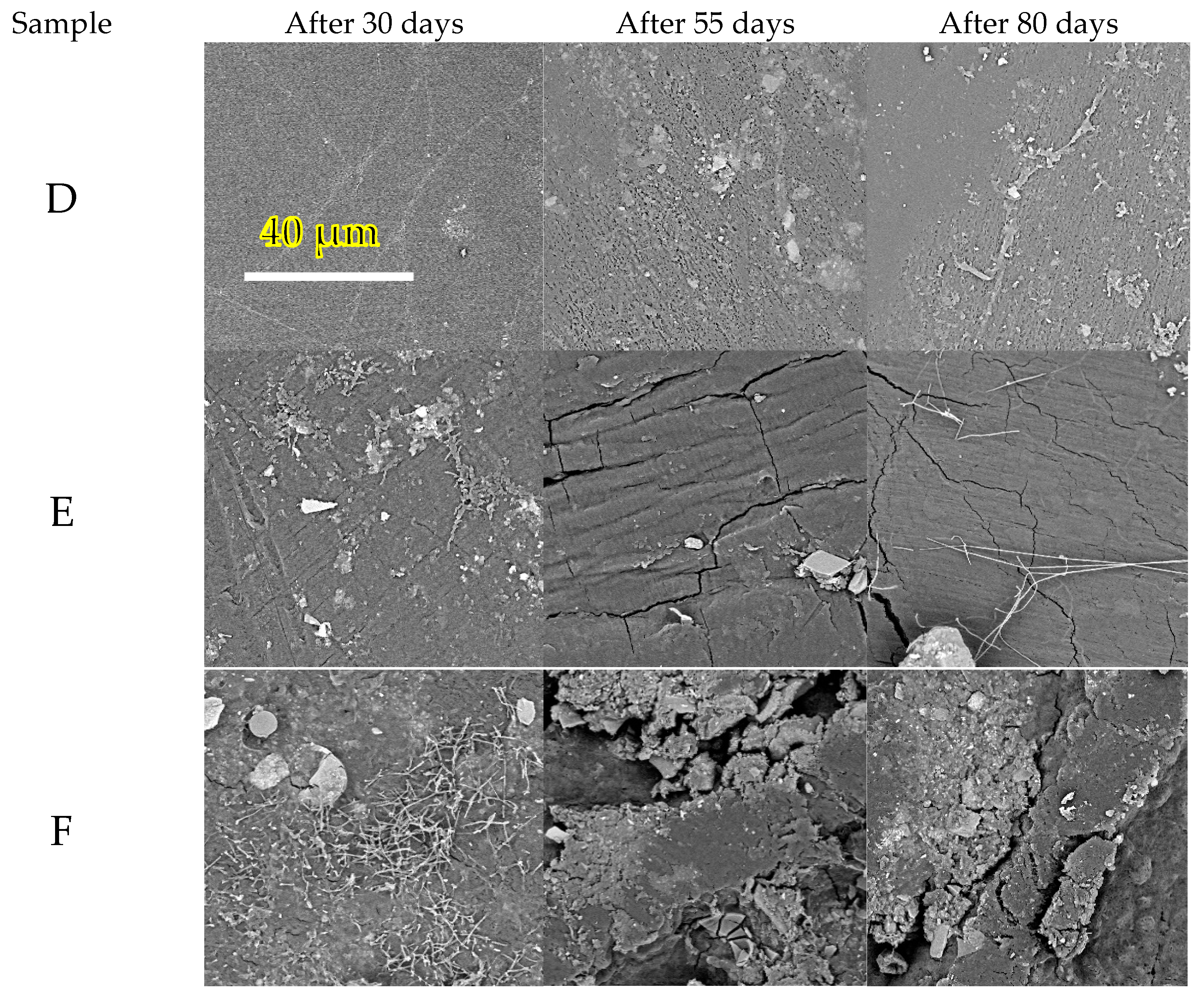 Polymers 14 04113 g005