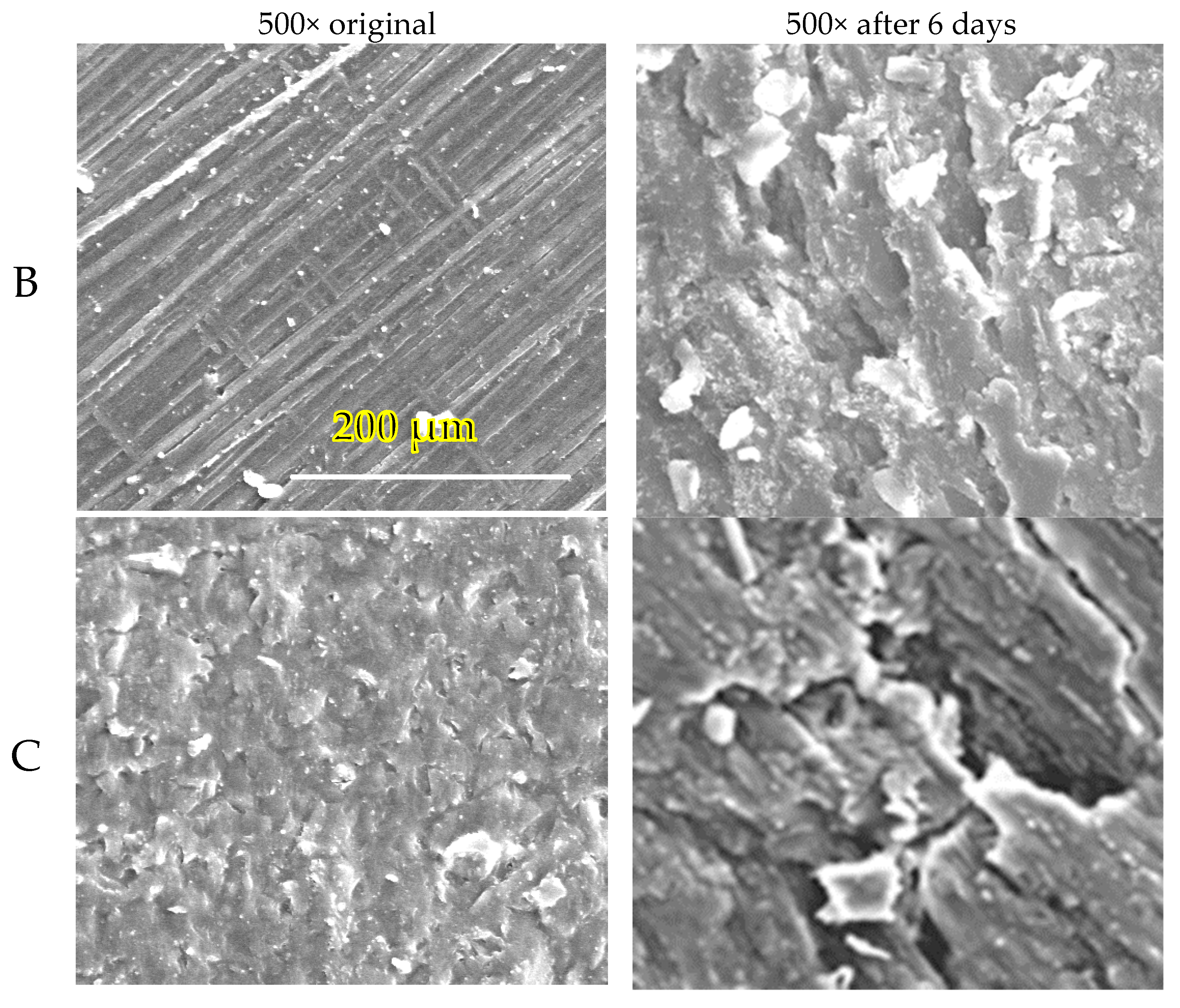 Polymers 14 04113 g008