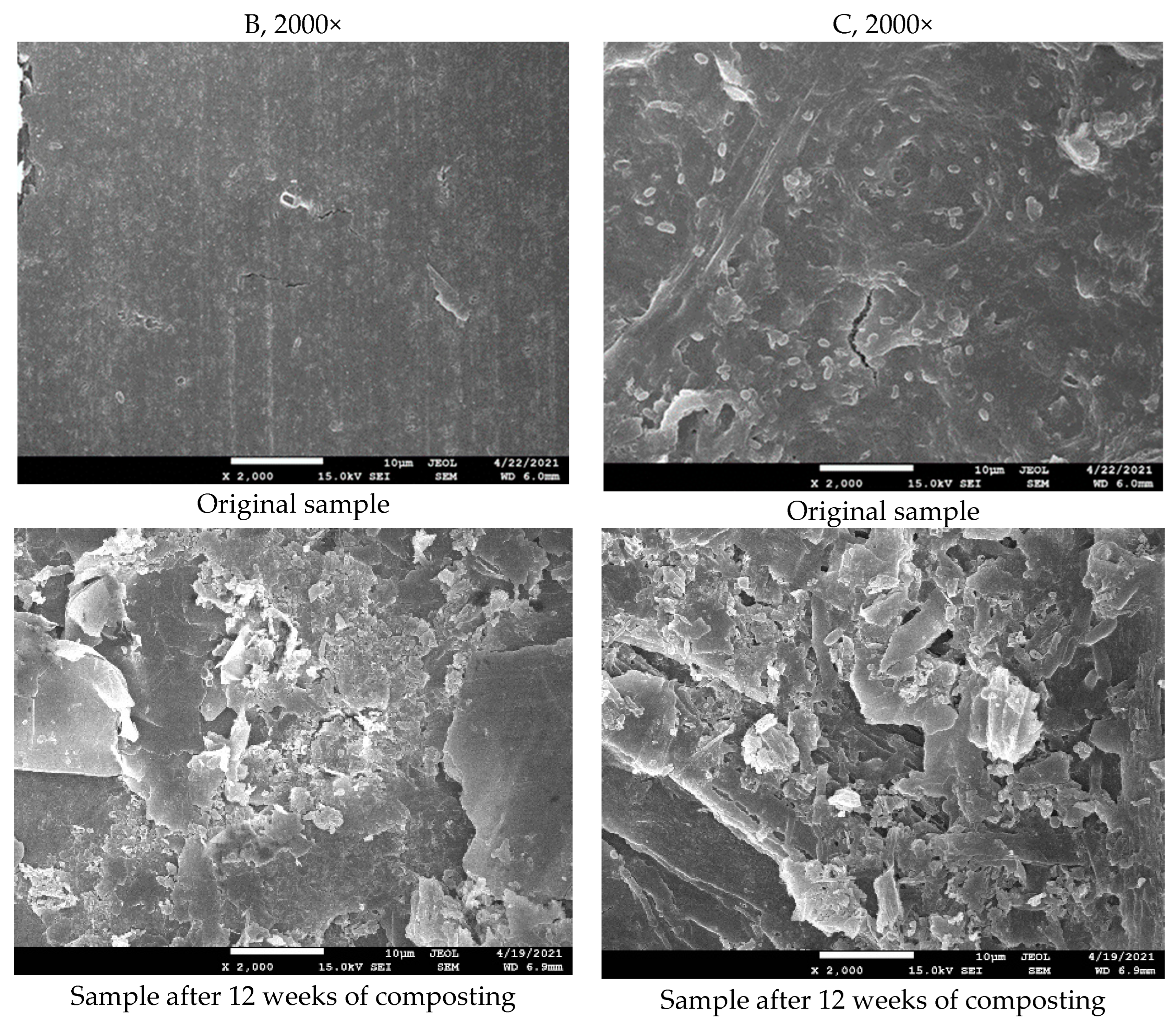 Polymers 14 04113 g013