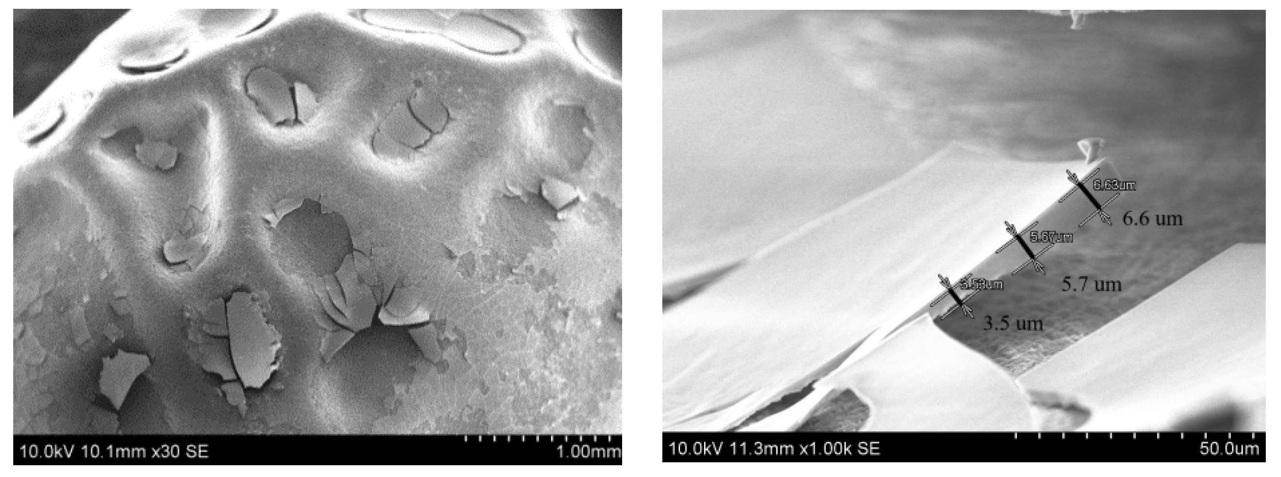 Polymers 14 04119 g002a