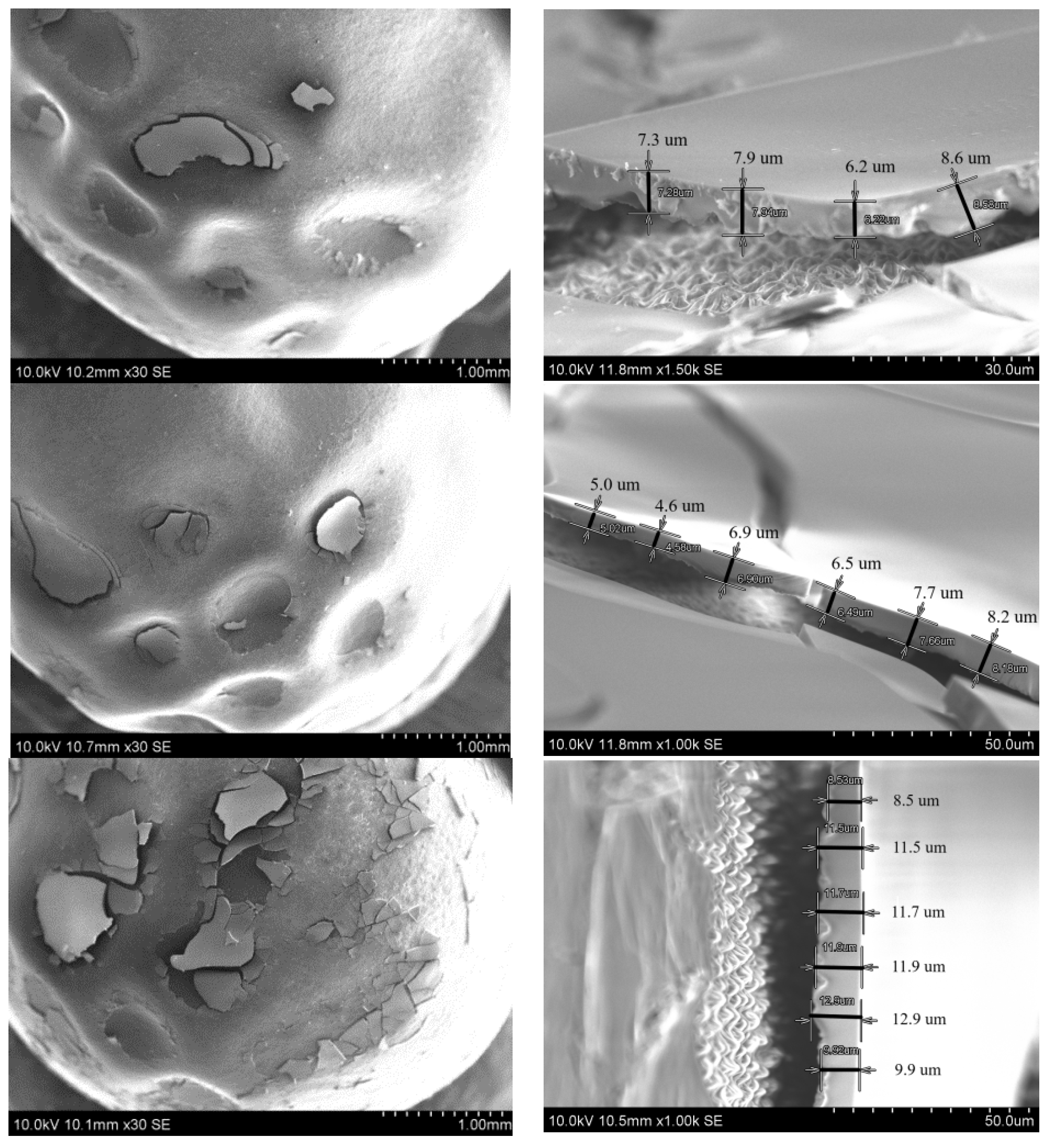 Polymers 14 04119 g002b