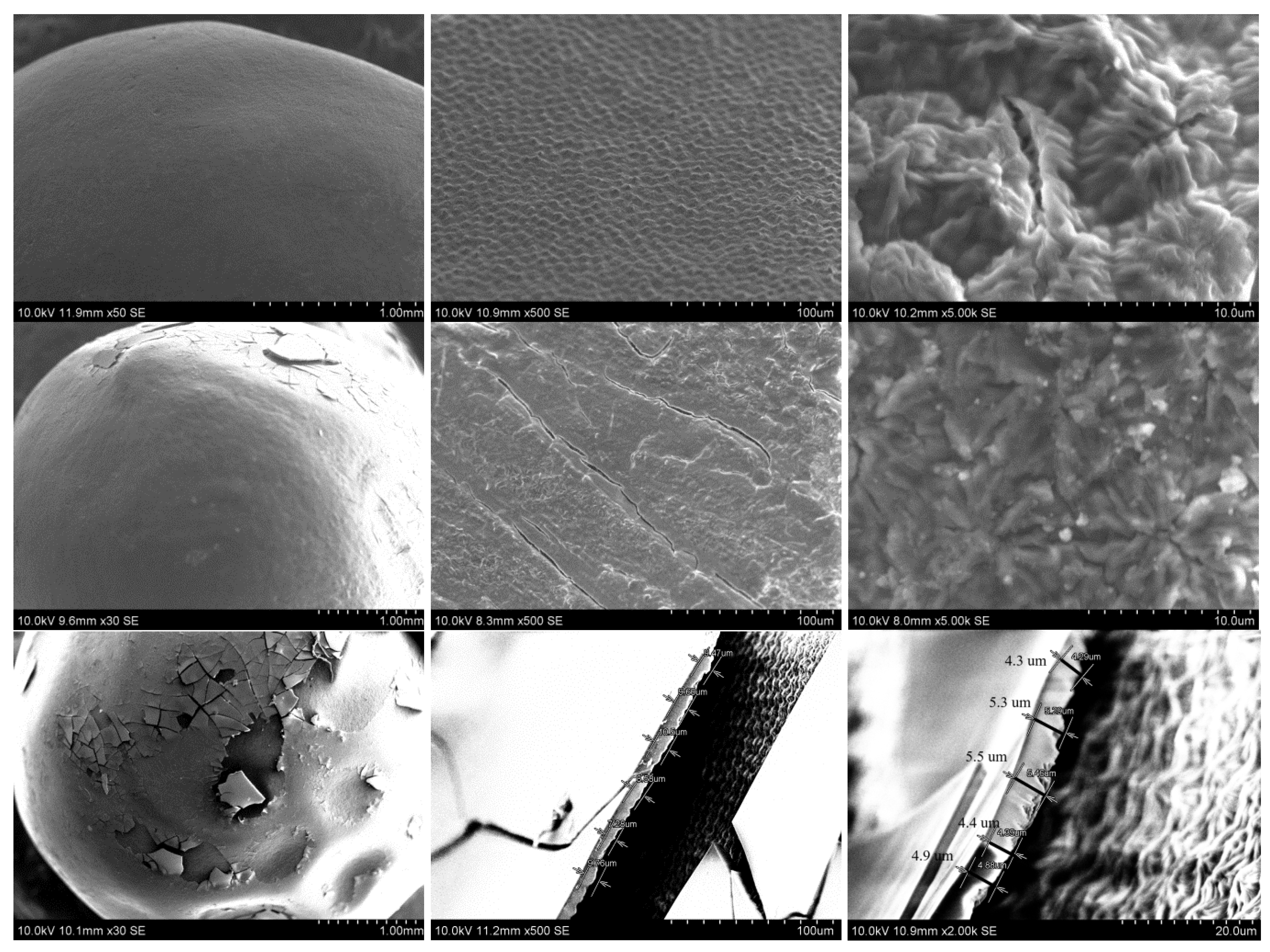 Polymers 14 04119 g003a