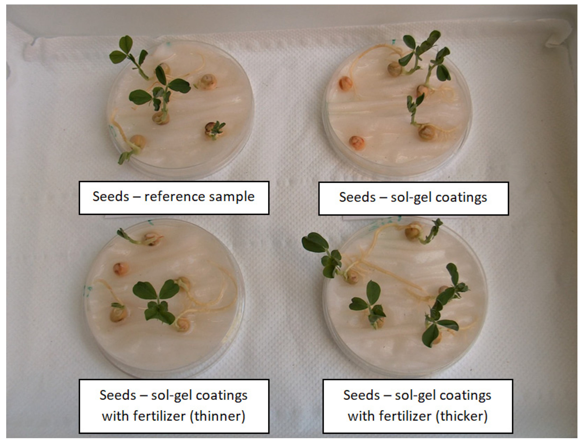 Polymers 14 04119 g005