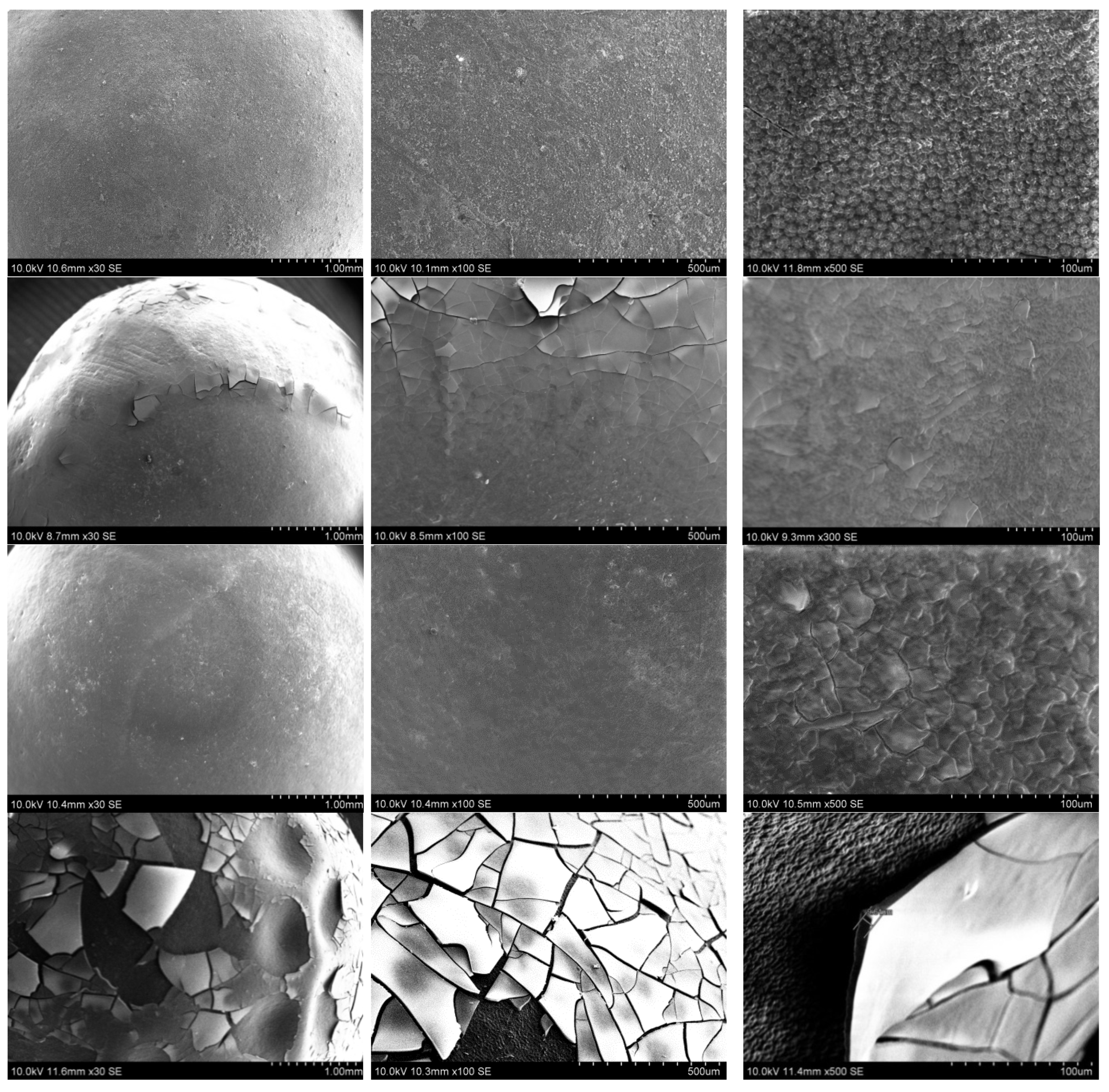 Polymers 14 04119 g006