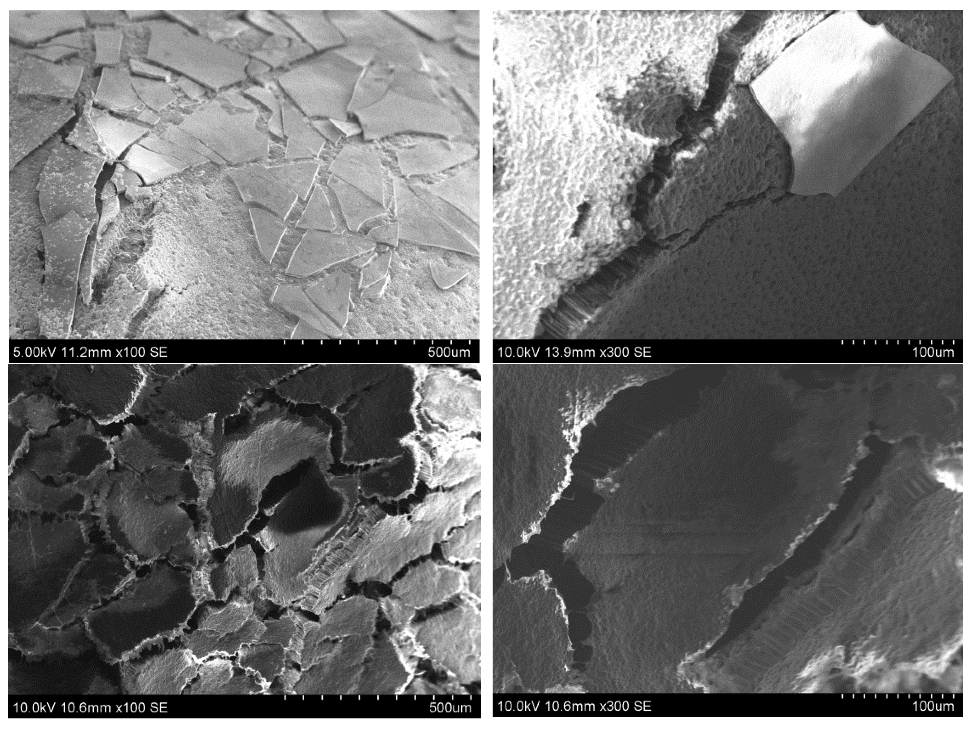 Polymers 14 04119 g007a
