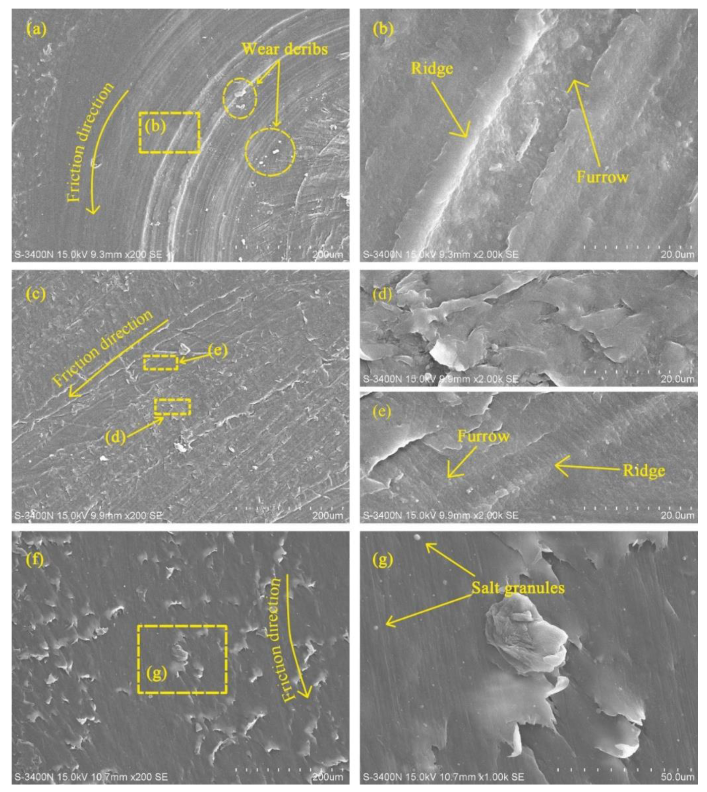 Polymers 14 04138 g009