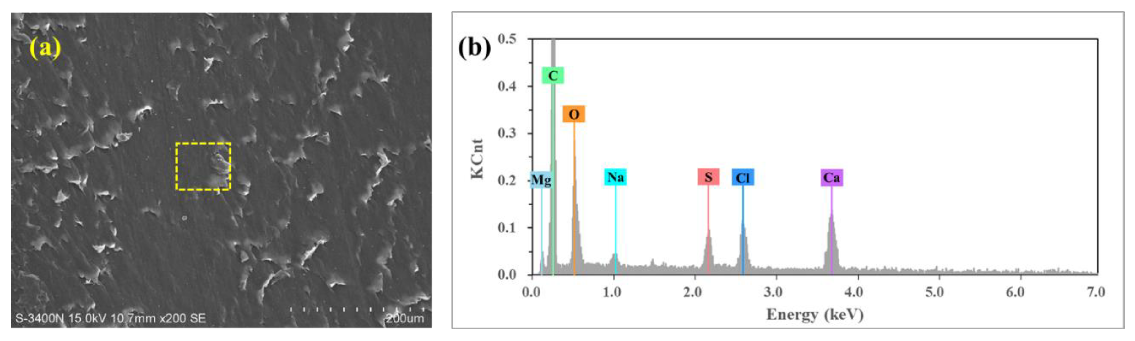 Polymers 14 04138 g010