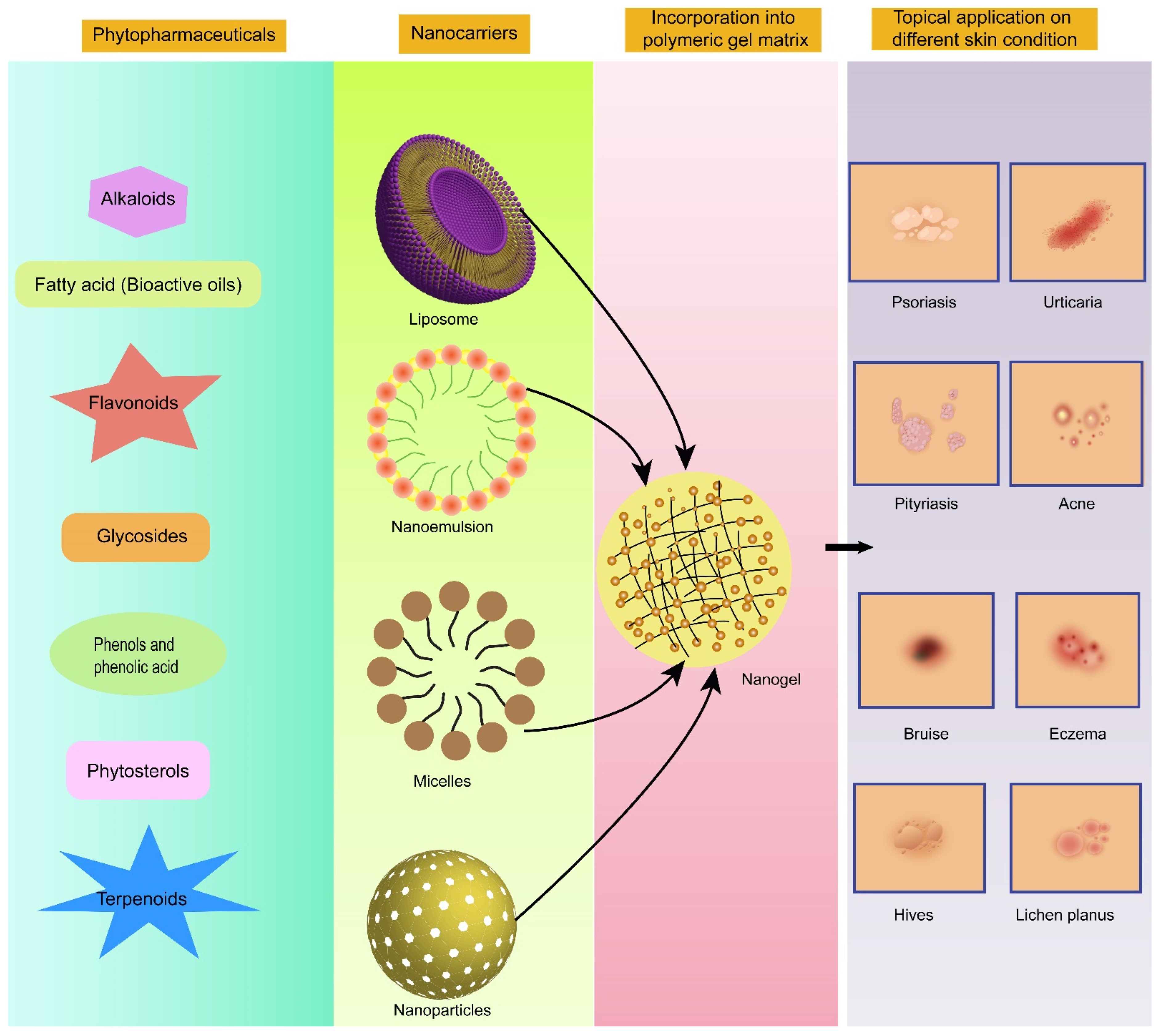 Polymers 14 04141 g002
