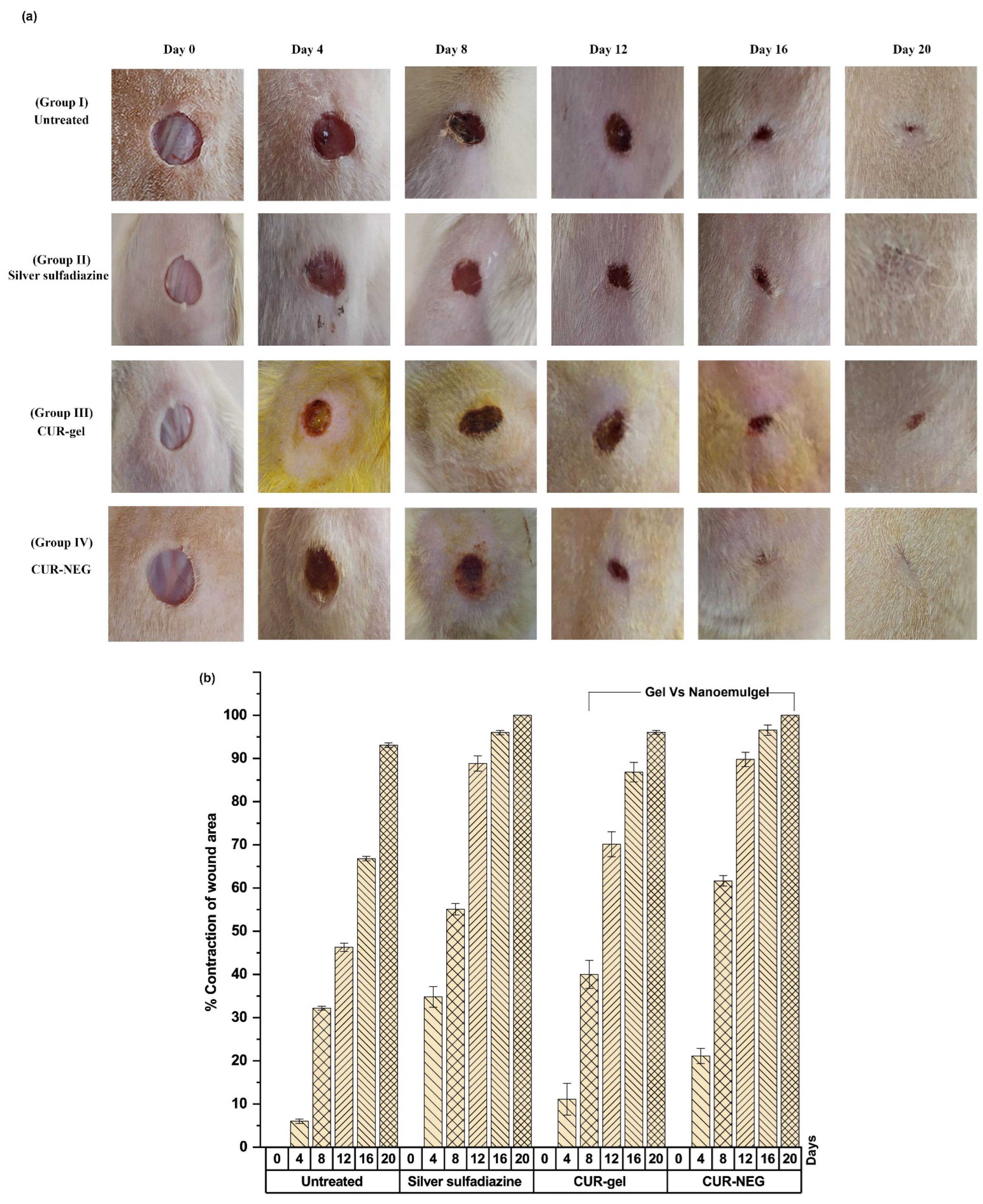 Polymers 14 04141 g006