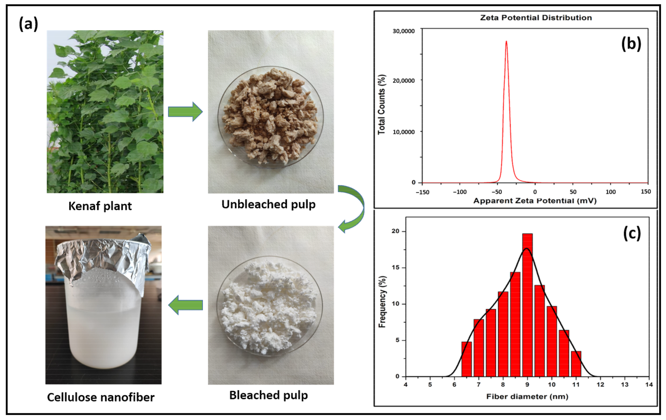 Polymers 14 04147 g001