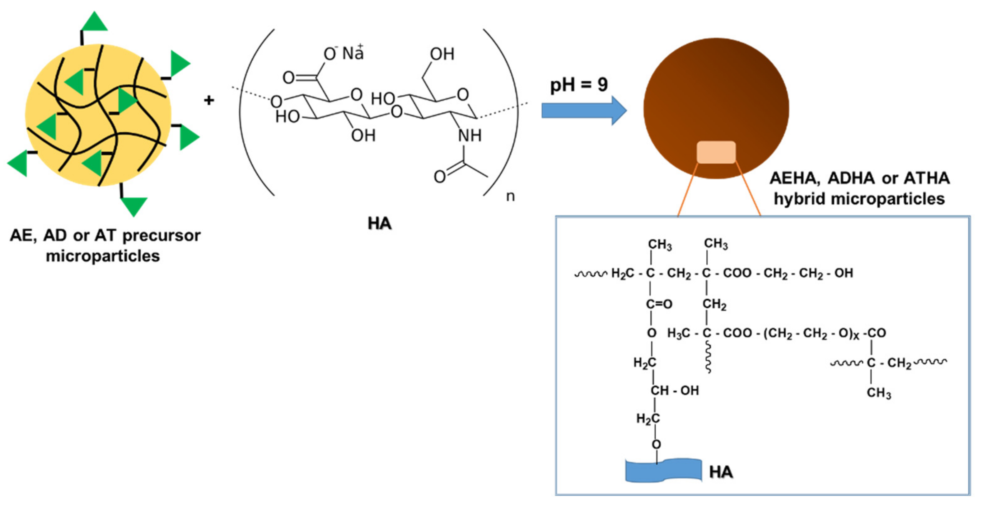 Polymers 14 04151 g002