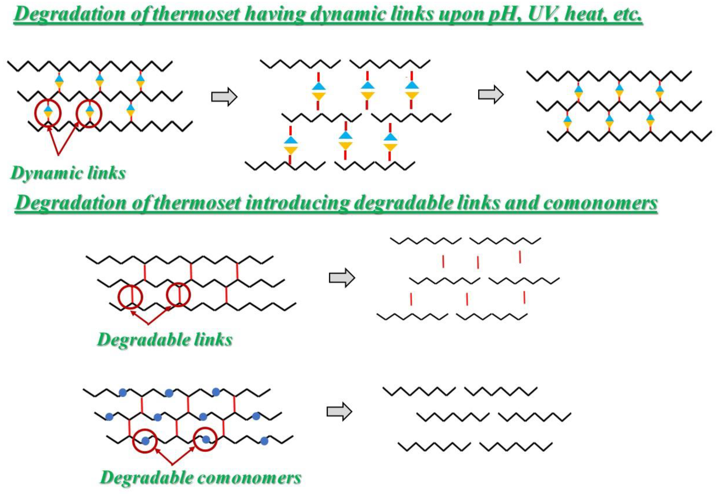 Polymers 14 04153 g005