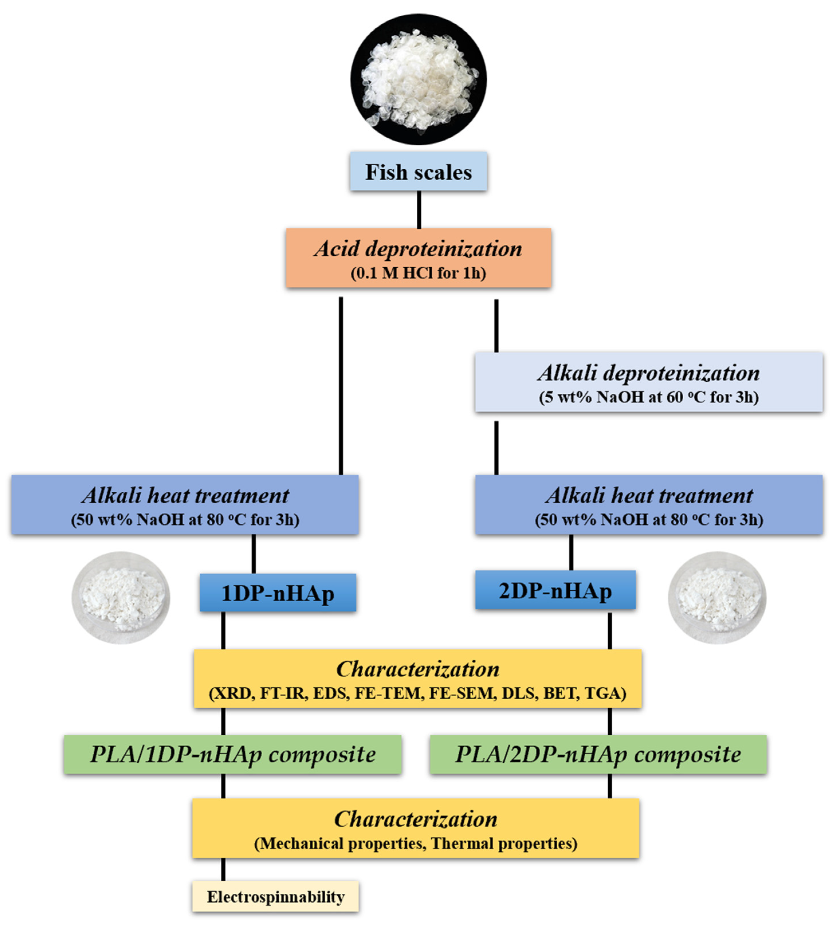 Polymers 14 04158 g001 Polymers 14 04158 g001