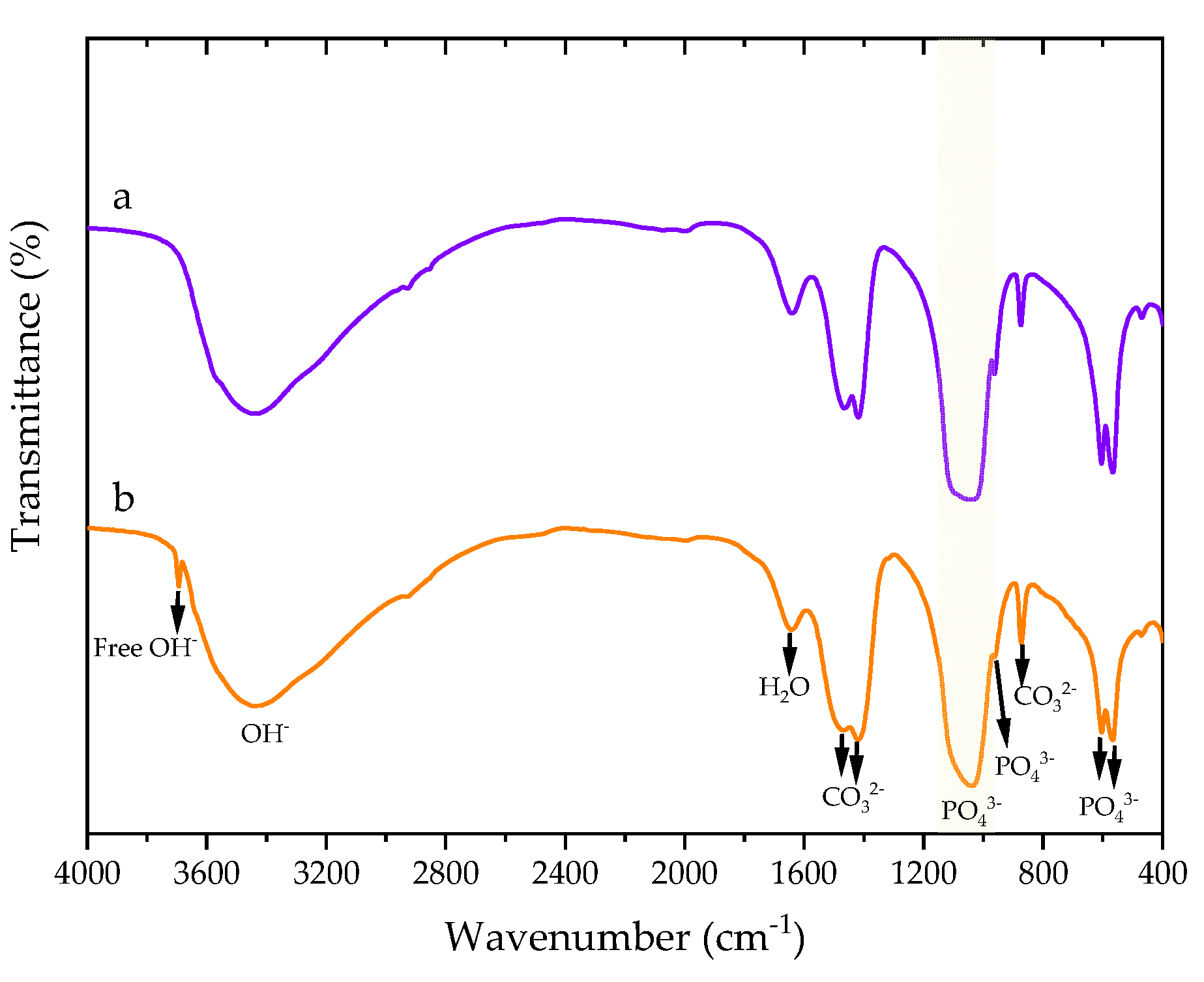 Polymers 14 04158 g003 Polymers 14 04158 g003