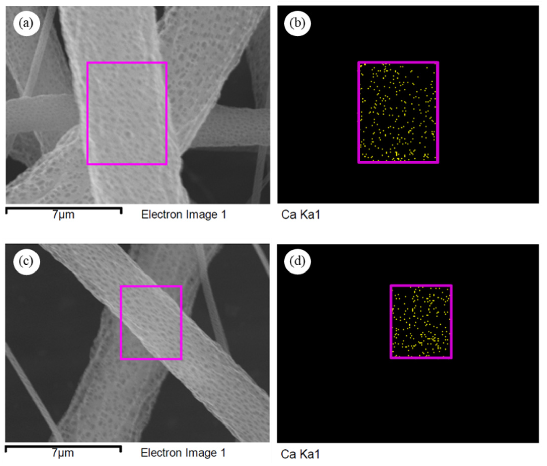 Polymers 14 04158 g013 Polymers 14 04158 g013