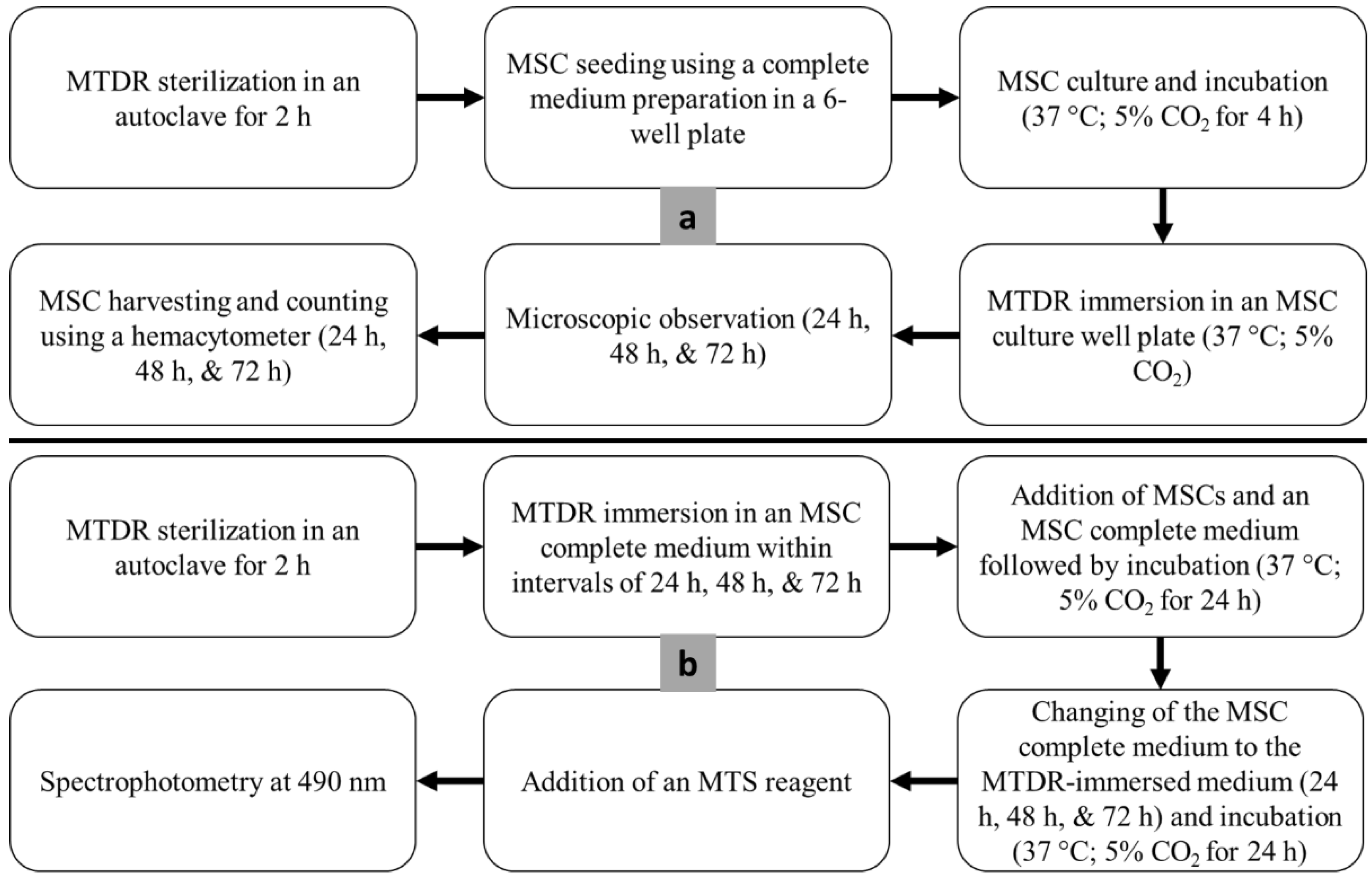 Polymers 14 04160 g004